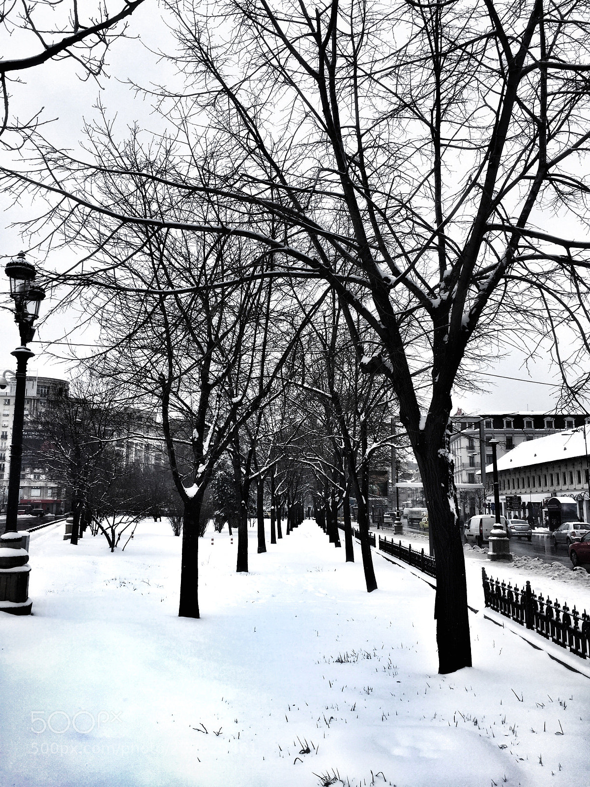 Apple iPhone 6 sample photo. Wonderland. photography