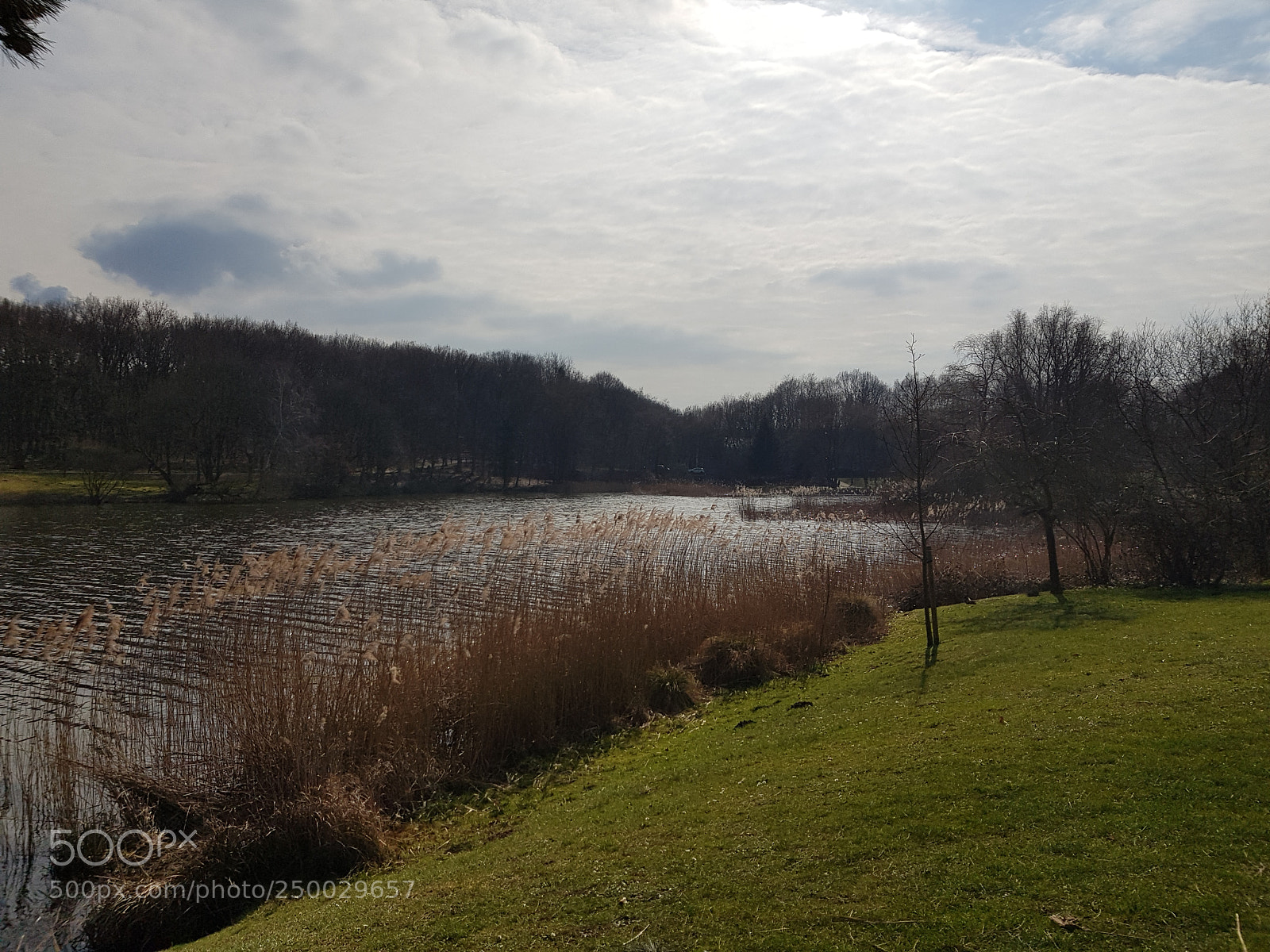 Samsung Galaxy S8 sample photo. Etang de creutzwald moselle photography