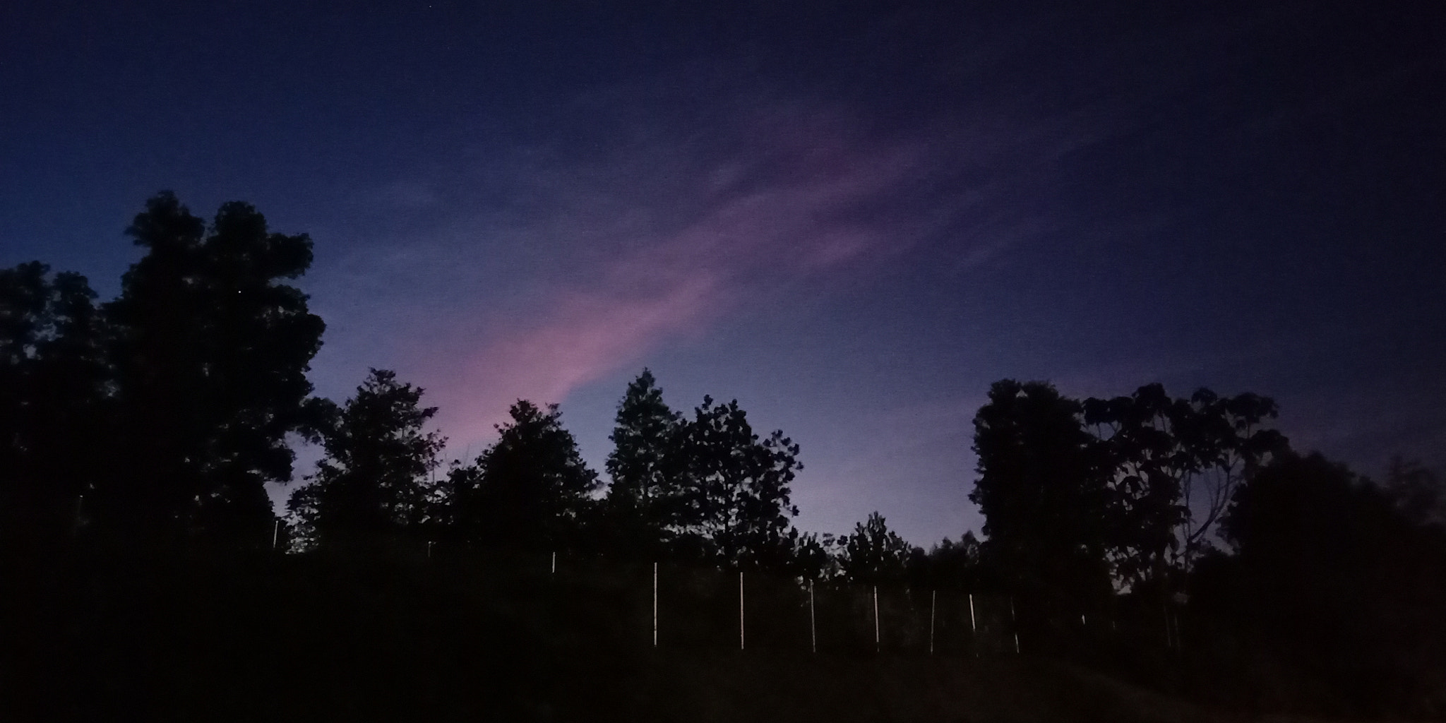 OPPO CPH1729 sample photo