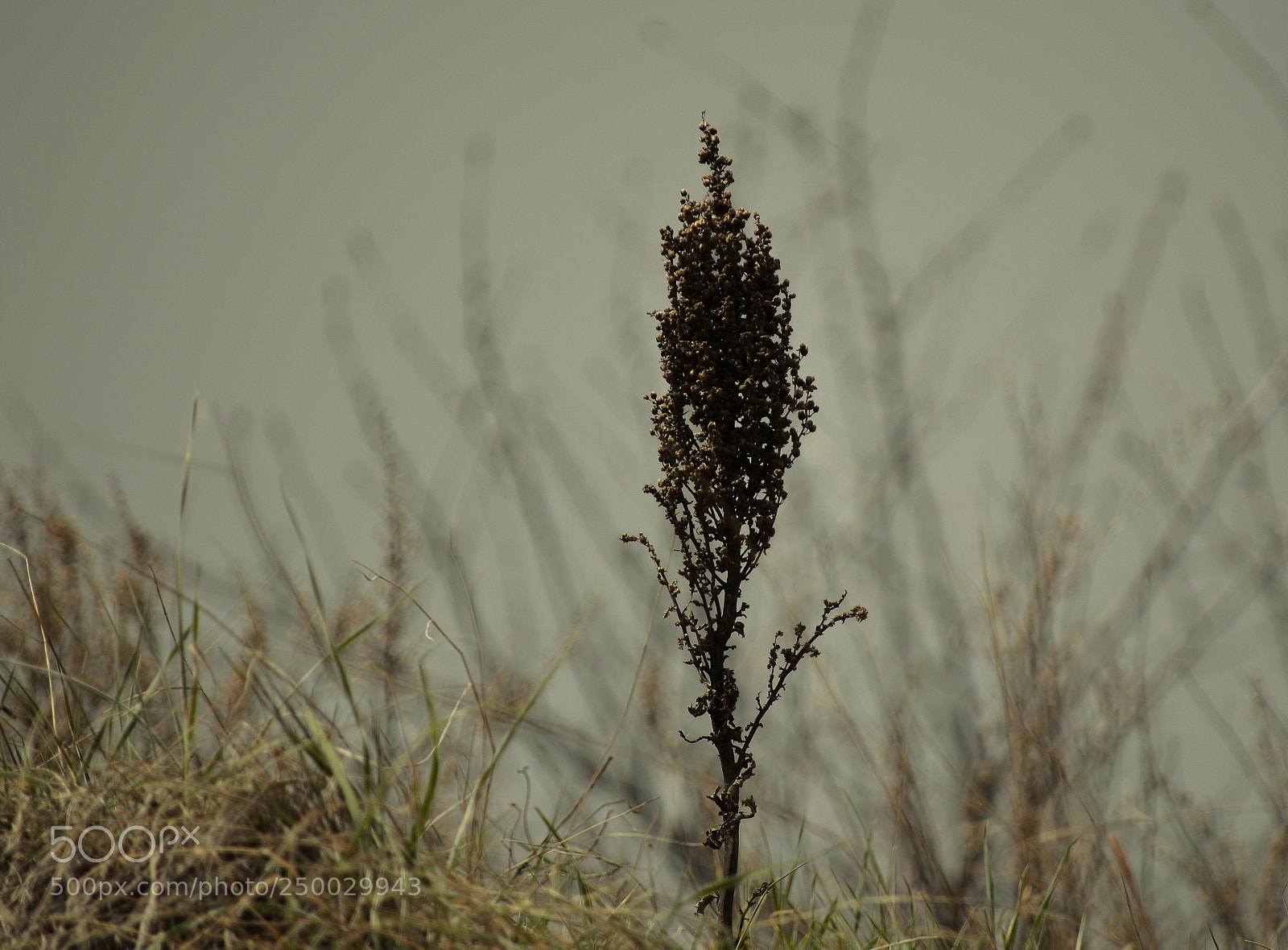 Nikon D3200 sample photo. Untitled photography