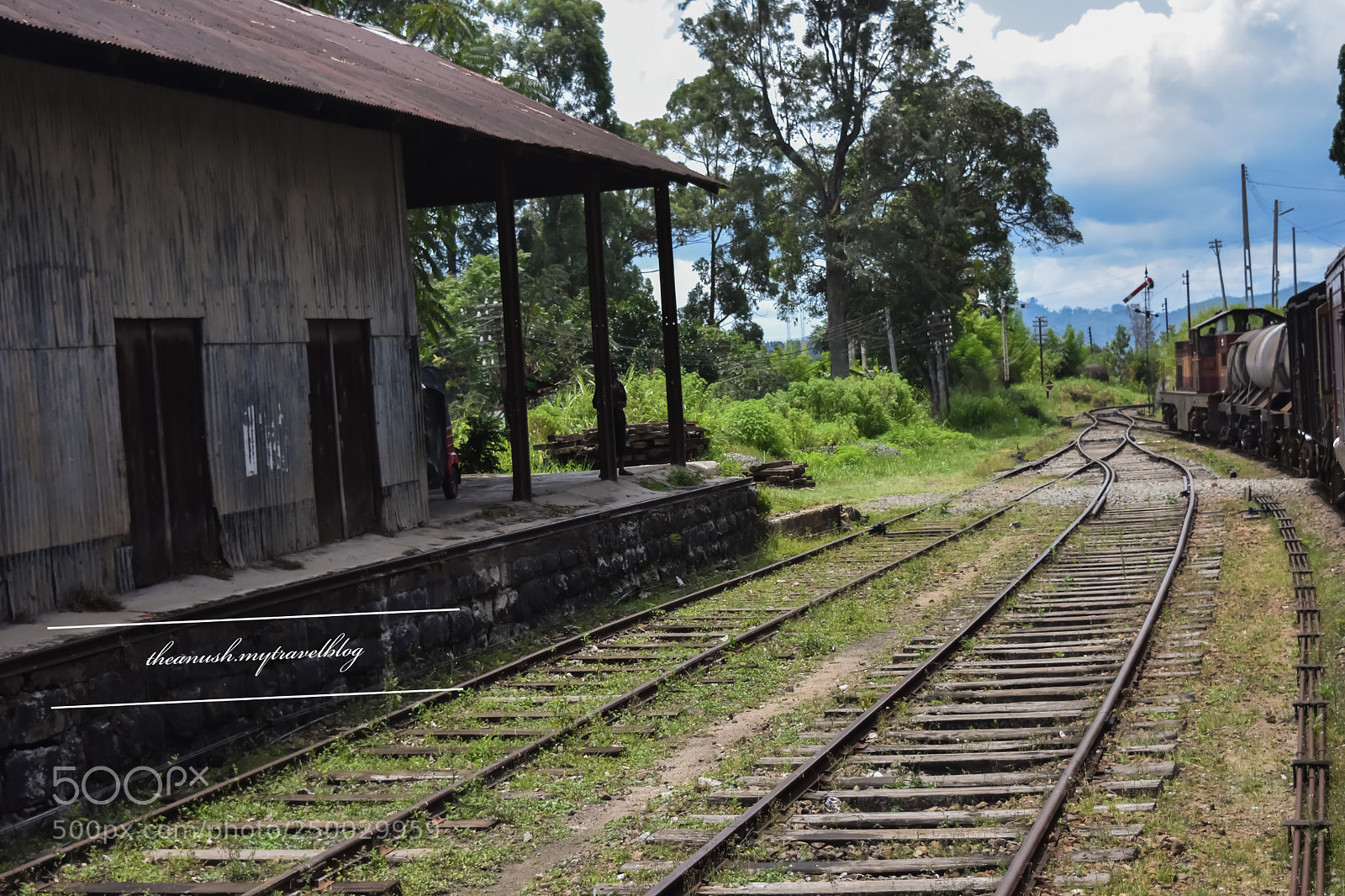 Nikon D7200 sample photo. It does not matter photography