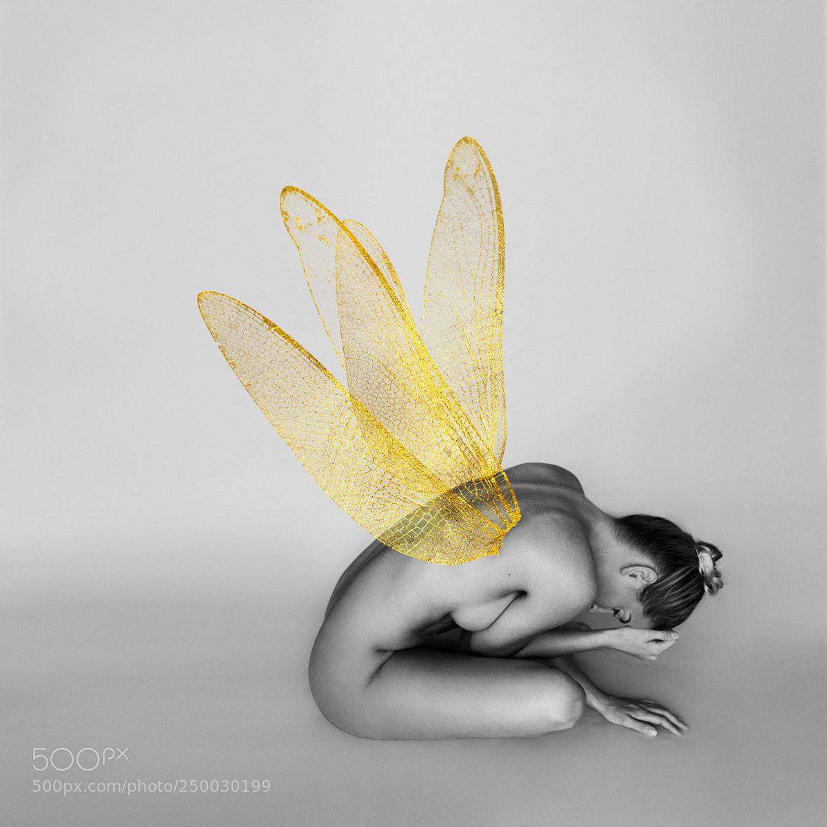 Canon EOS 5D Mark IV sample photo. Black, white and gold photography