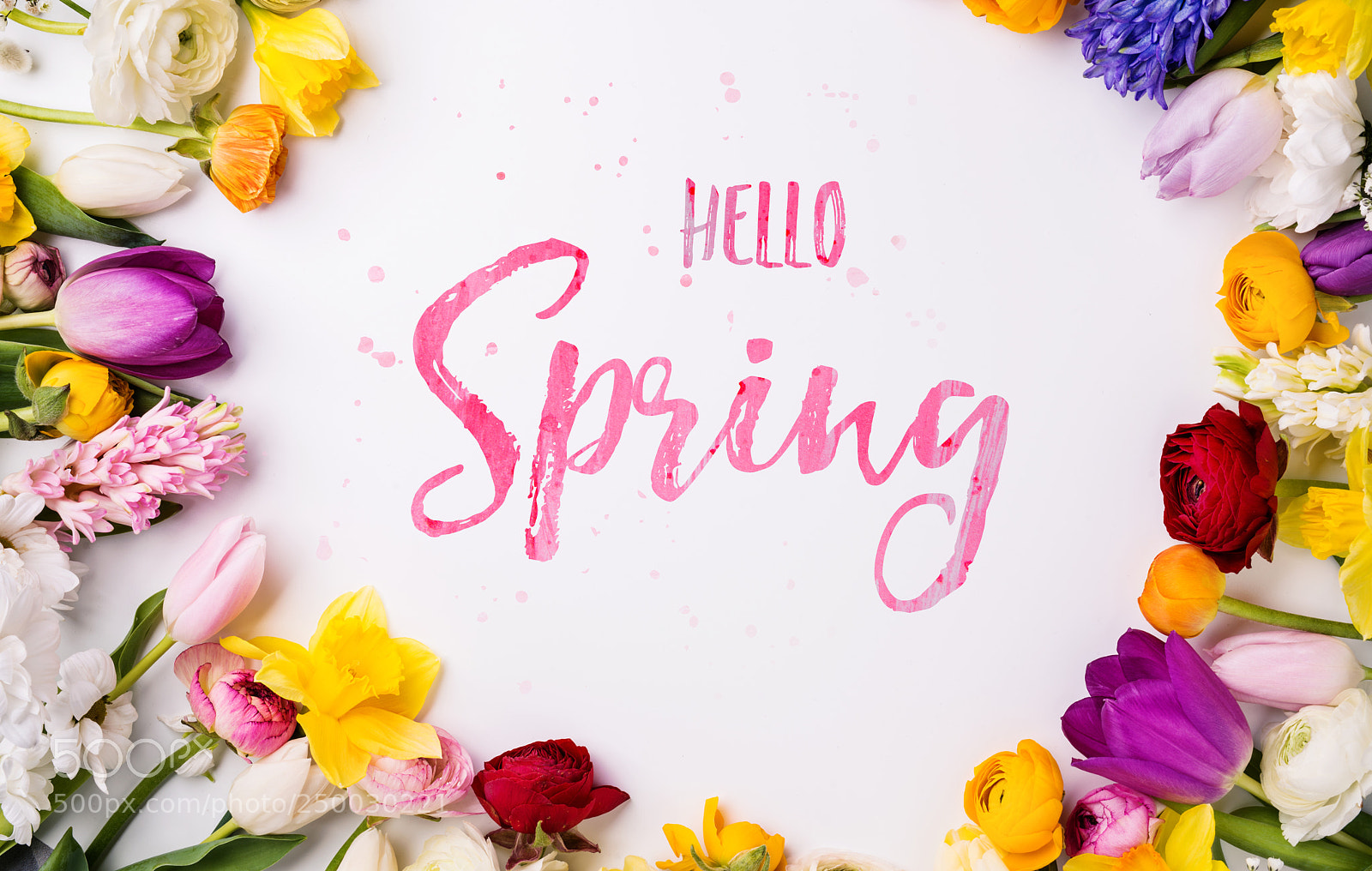 Nikon D800 sample photo. Easter and spring flat photography