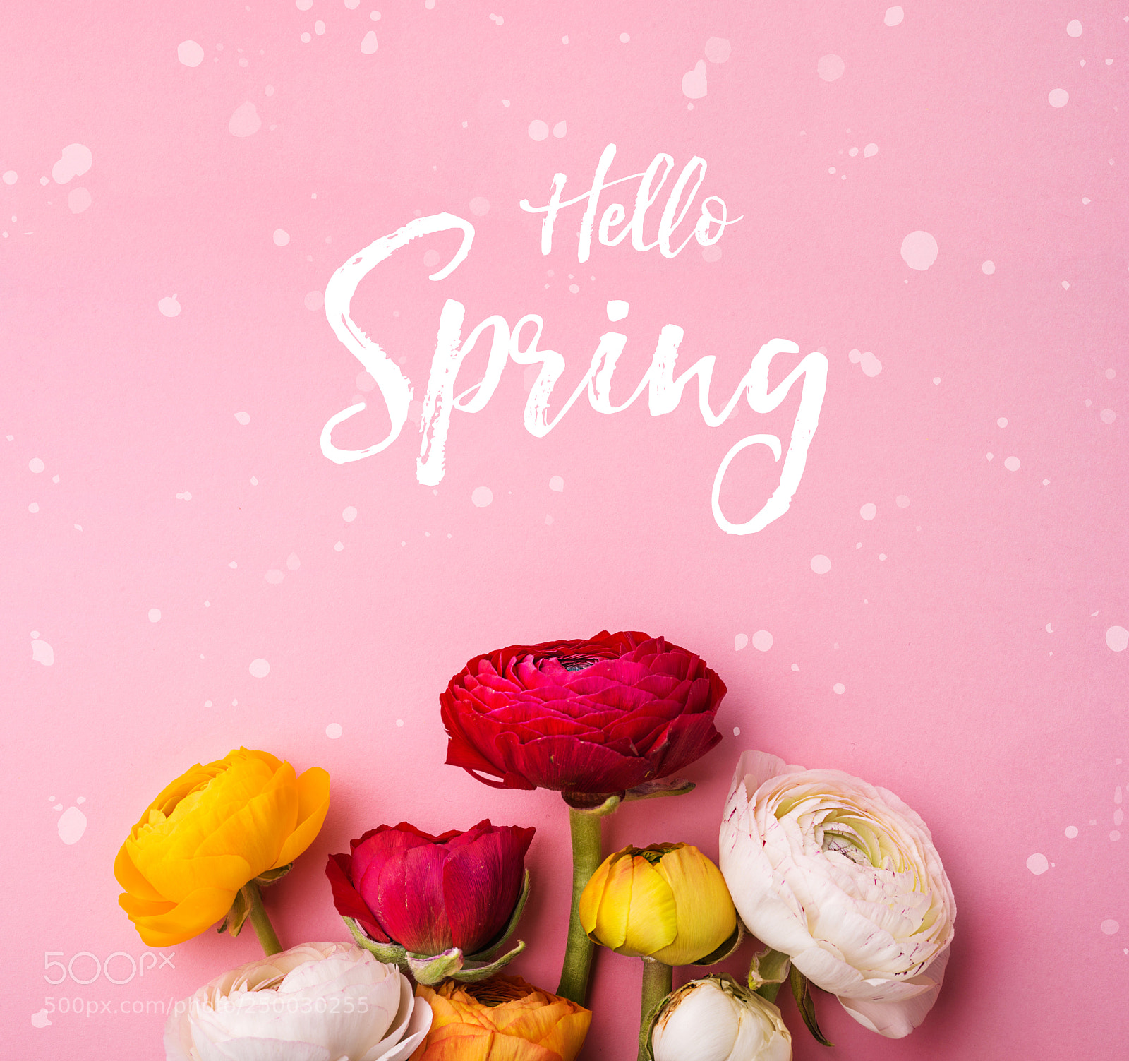 Nikon D800 sample photo. Easter and spring flat photography