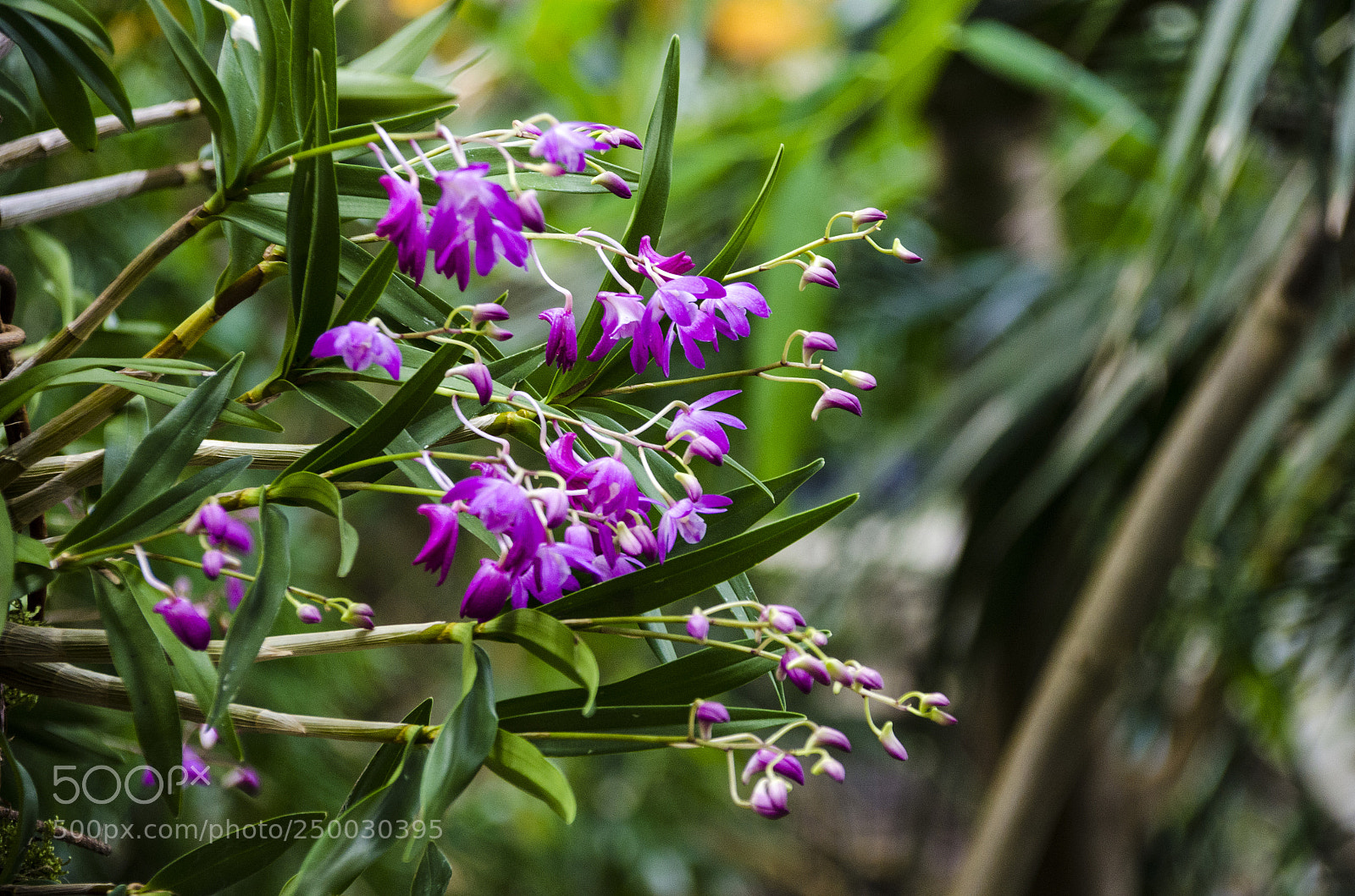 Nikon D7000 sample photo. Nature #2 photography