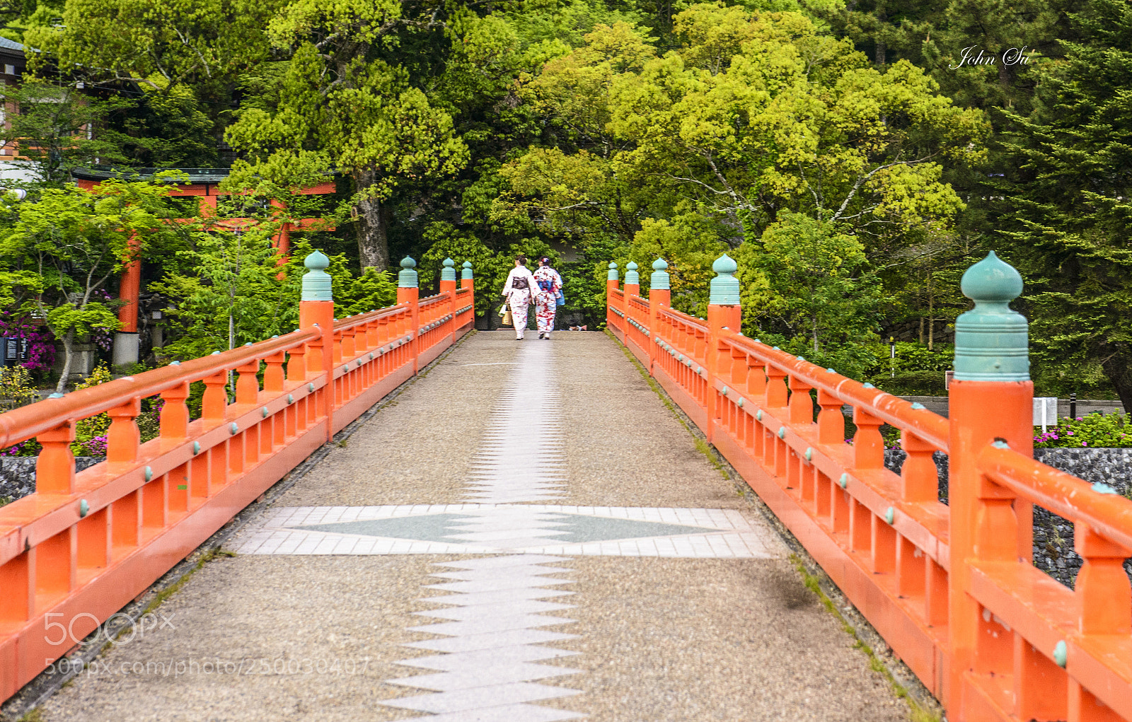 Nikon D800 sample photo. Bridge photography