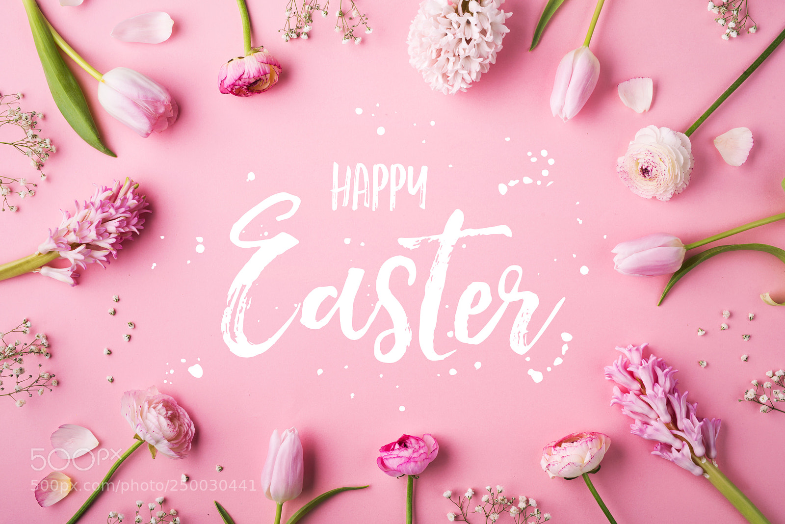 Nikon D800 sample photo. Happy easter phrase and photography