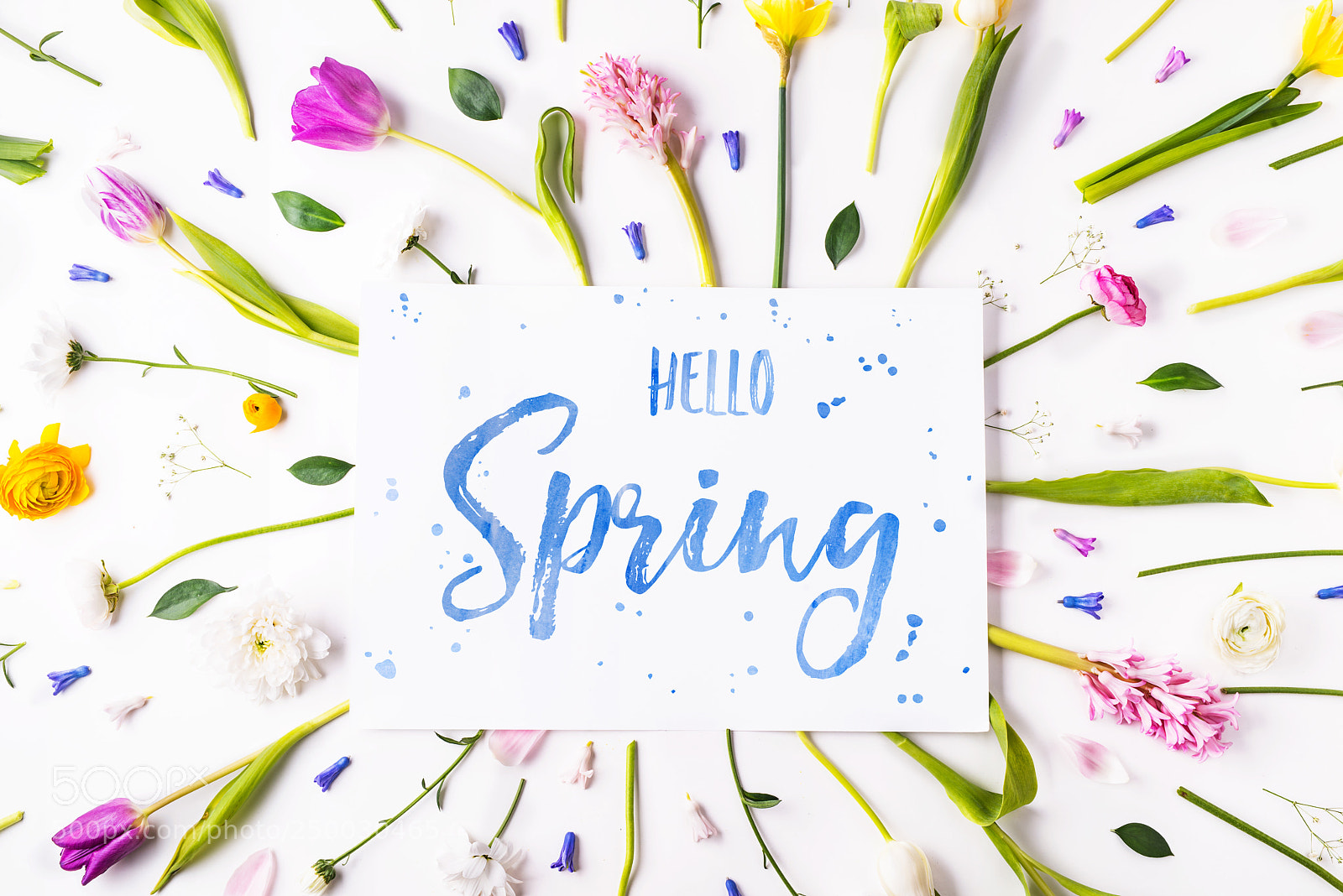 Nikon D800 sample photo. Easter and spring flat photography