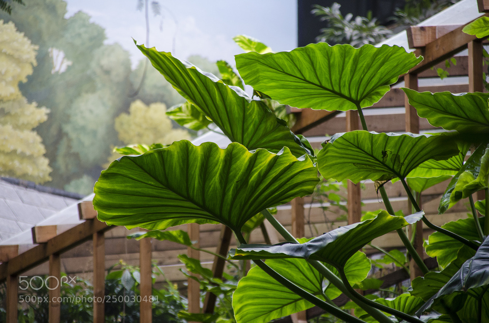 Nikon D7000 sample photo. Nature #3 photography