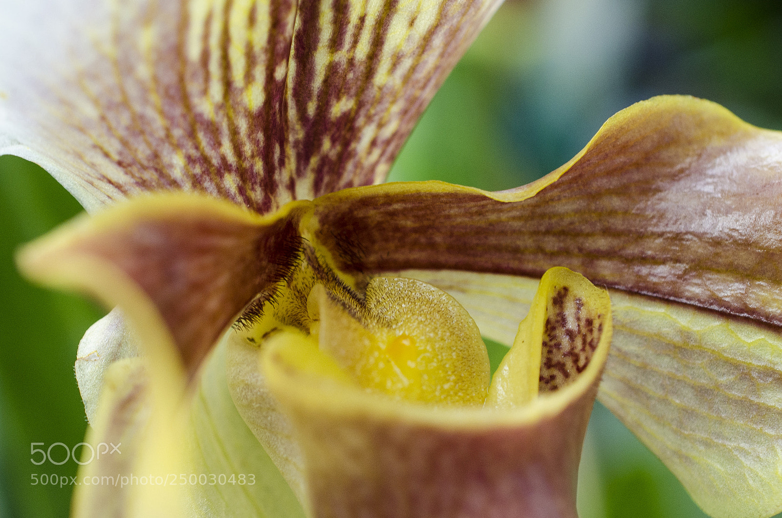 Nikon D7000 sample photo. Nature #4 photography