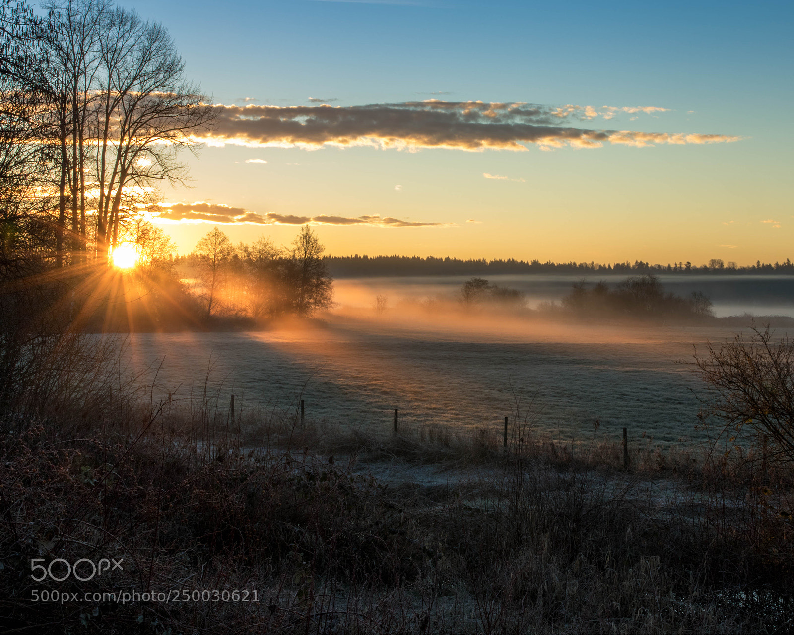 Canon EOS 7D Mark II sample photo. Misty sunrise photography