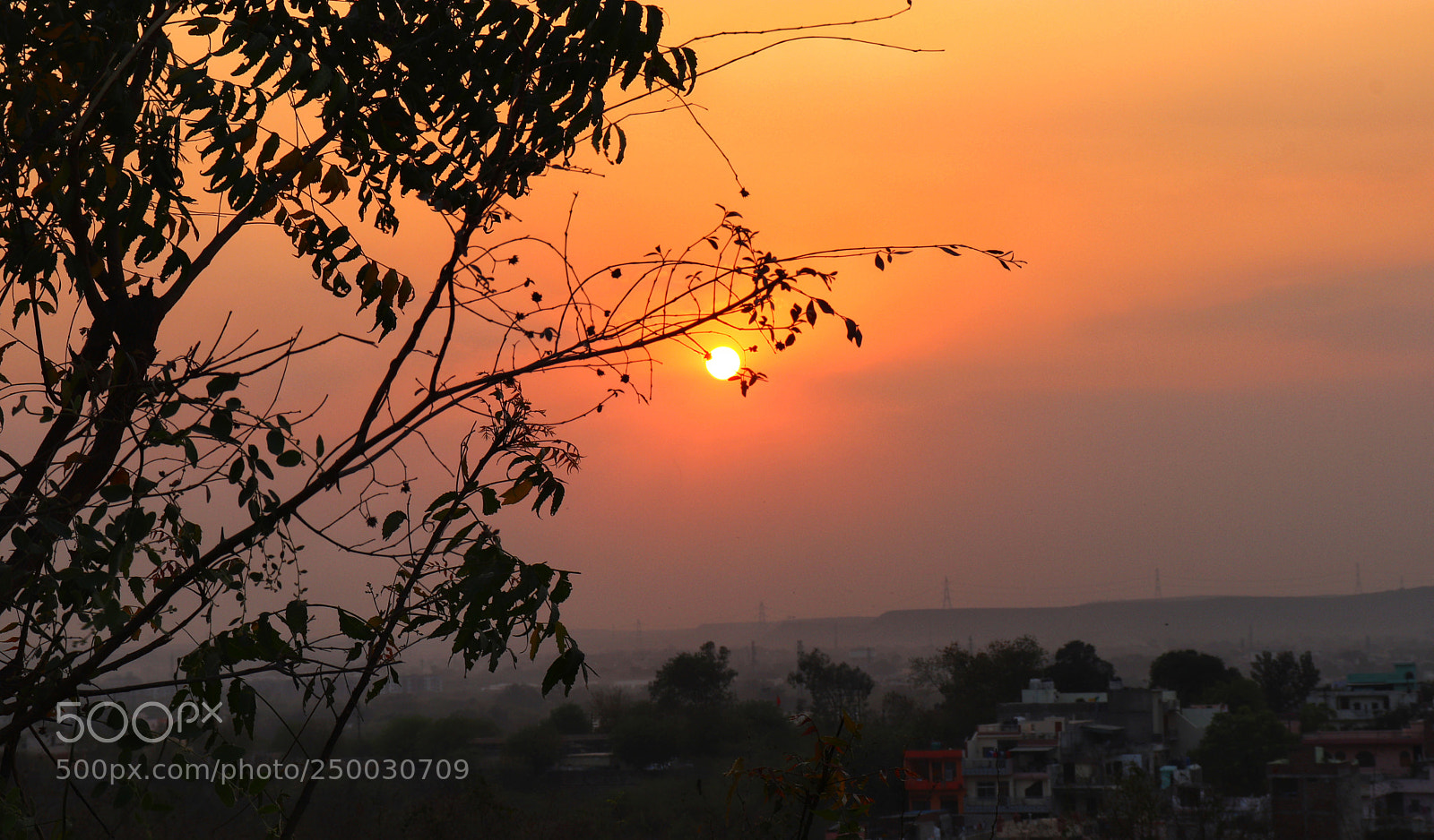 Canon EOS 77D (EOS 9000D / EOS 770D) sample photo. Untitled photography