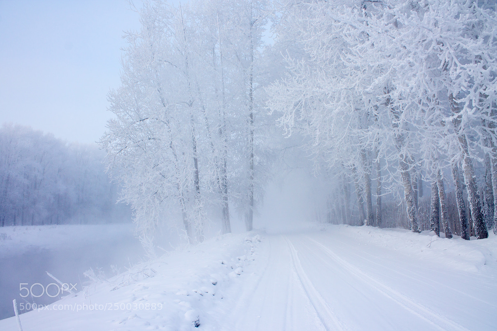 Canon EOS 1100D (EOS Rebel T3 / EOS Kiss X50) sample photo. Winter road photography