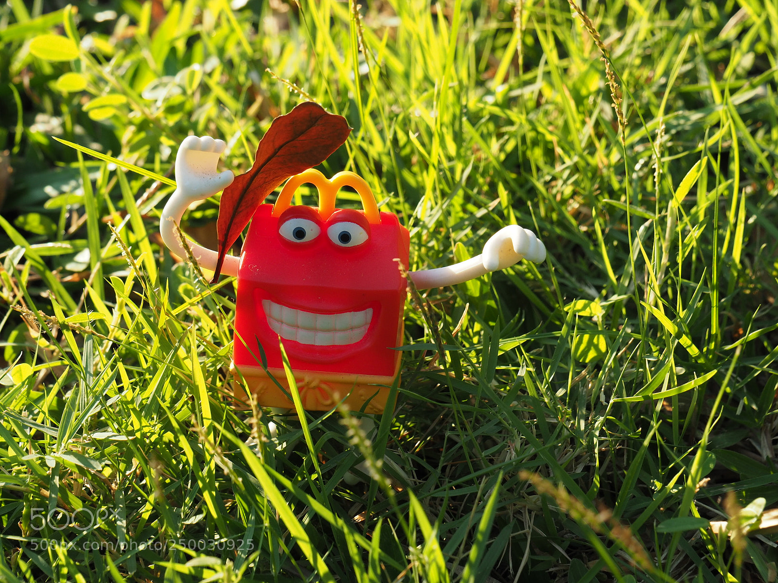 Olympus OM-D E-M5 II sample photo. Olympus em5markii photography