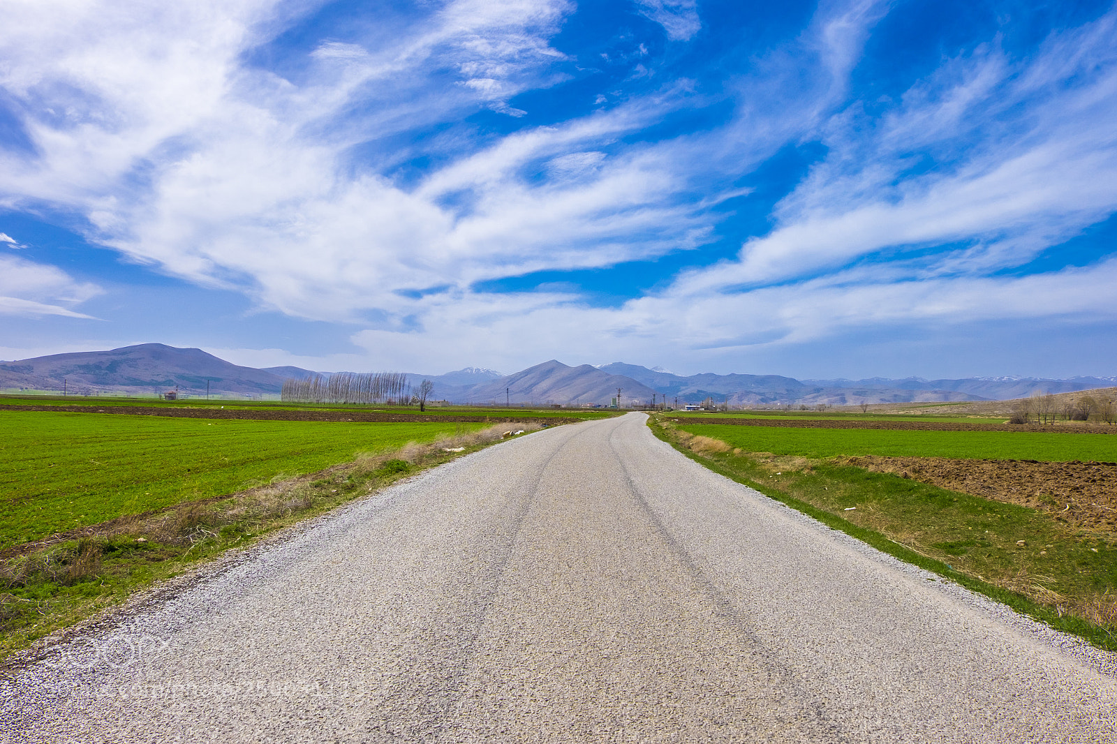Fujifilm X-T10 sample photo. Untitled photography