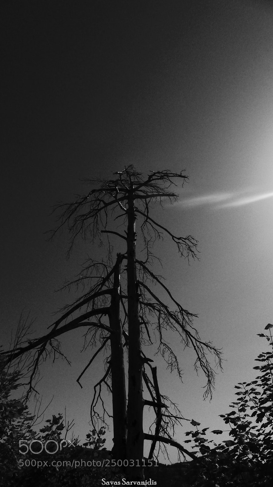 Panasonic Lumix DMC-LX7 sample photo. After fire... photography