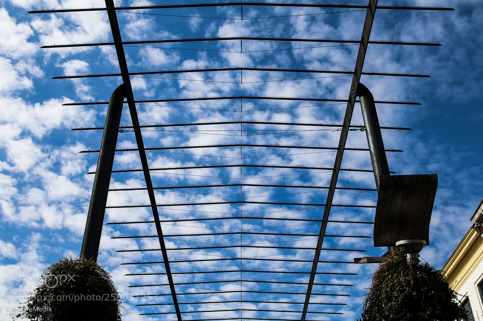 Canon EOS 80D sample photo. Gazing at the clouds photography