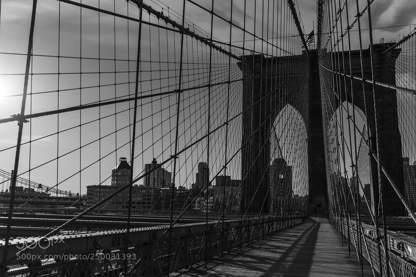 Nikon D3300 sample photo. Brooklyn bridge cables photography