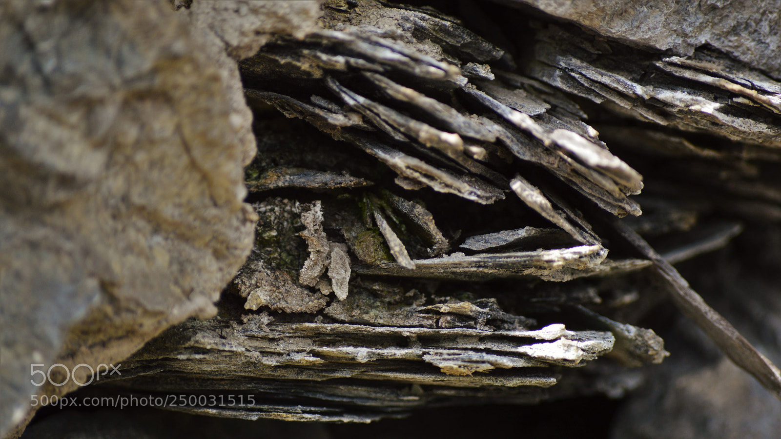 Nikon D3200 sample photo. Untitled photography