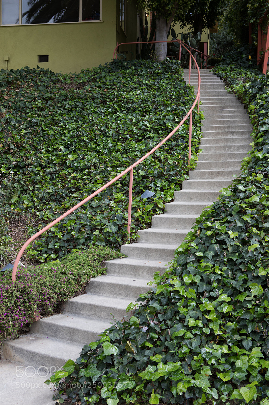 Canon EOS 5D Mark IV sample photo. Staircase meadow valley terr photography