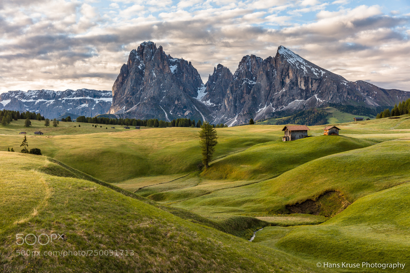 Canon EOS 5DS R sample photo. Morning light photography
