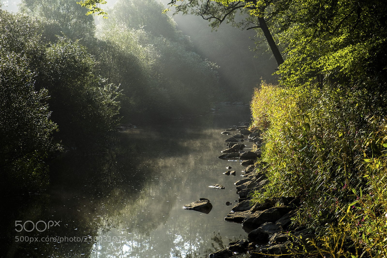 Fujifilm X-T1 sample photo. Thaya photography