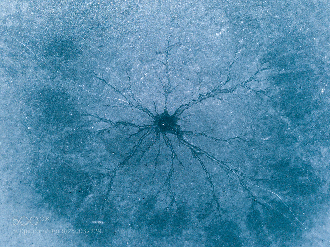 DJI FC220 sample photo. Frozen eye photography