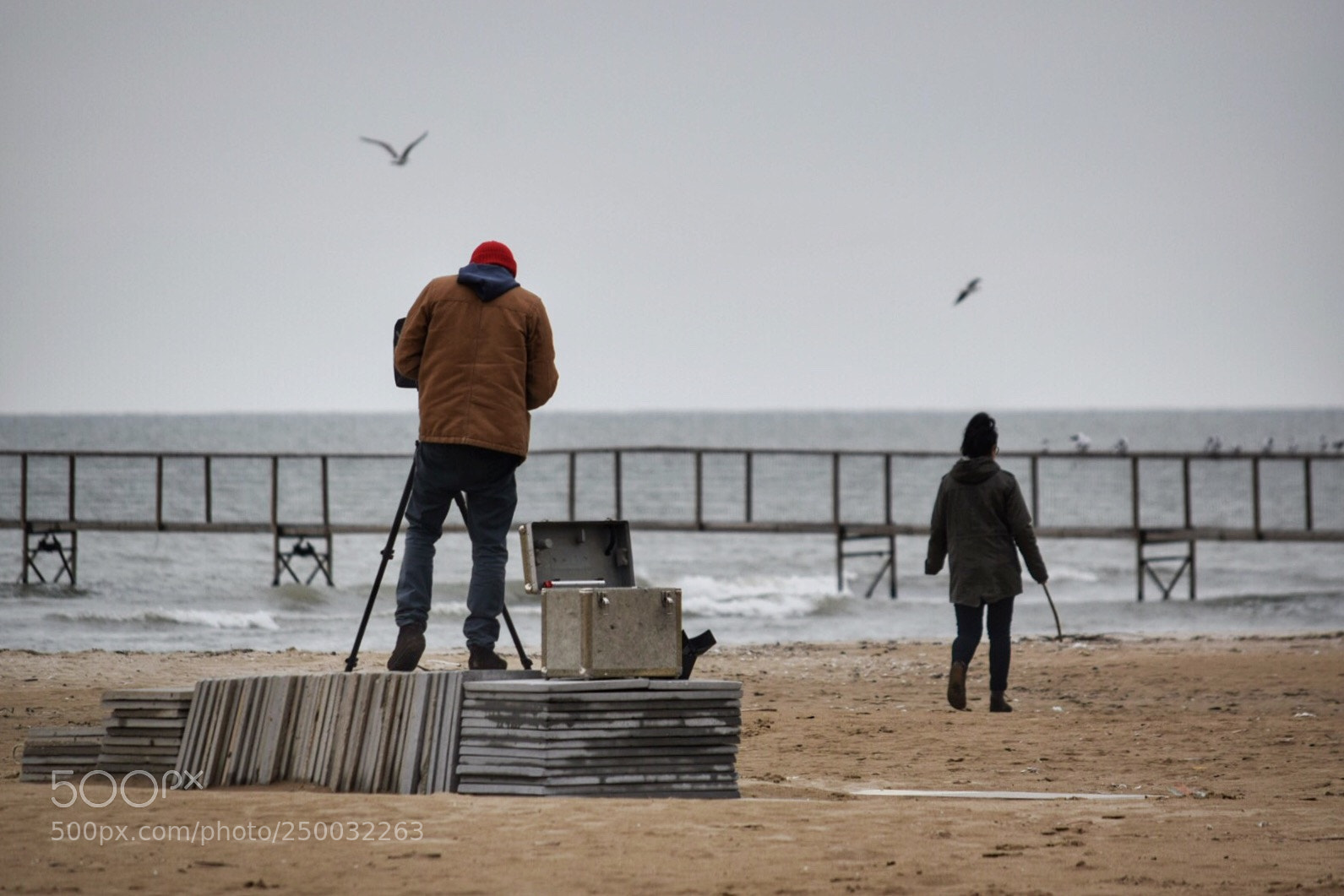 Nikon D3300 sample photo. Love & seagulls photography