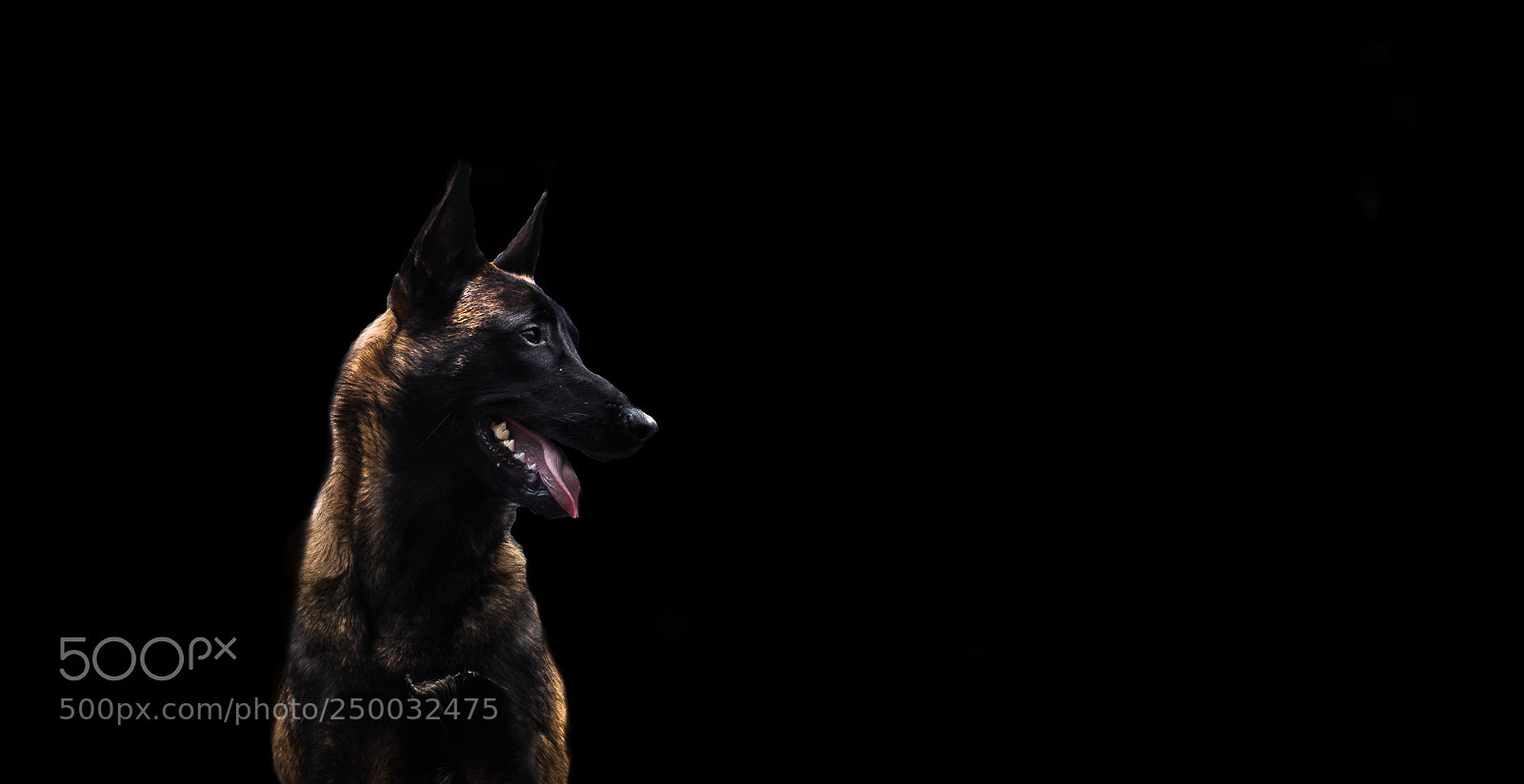 Nikon D7100 sample photo. Axe photography