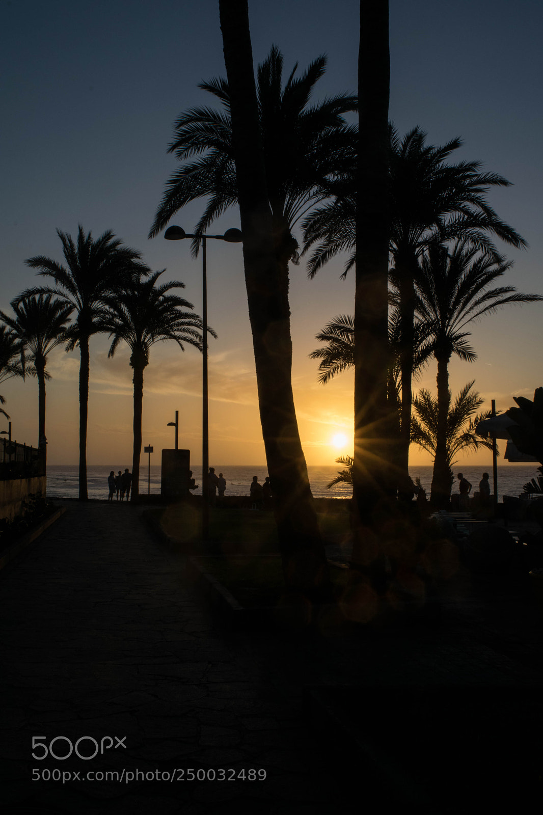 Nikon D3300 sample photo. When the sun goes photography