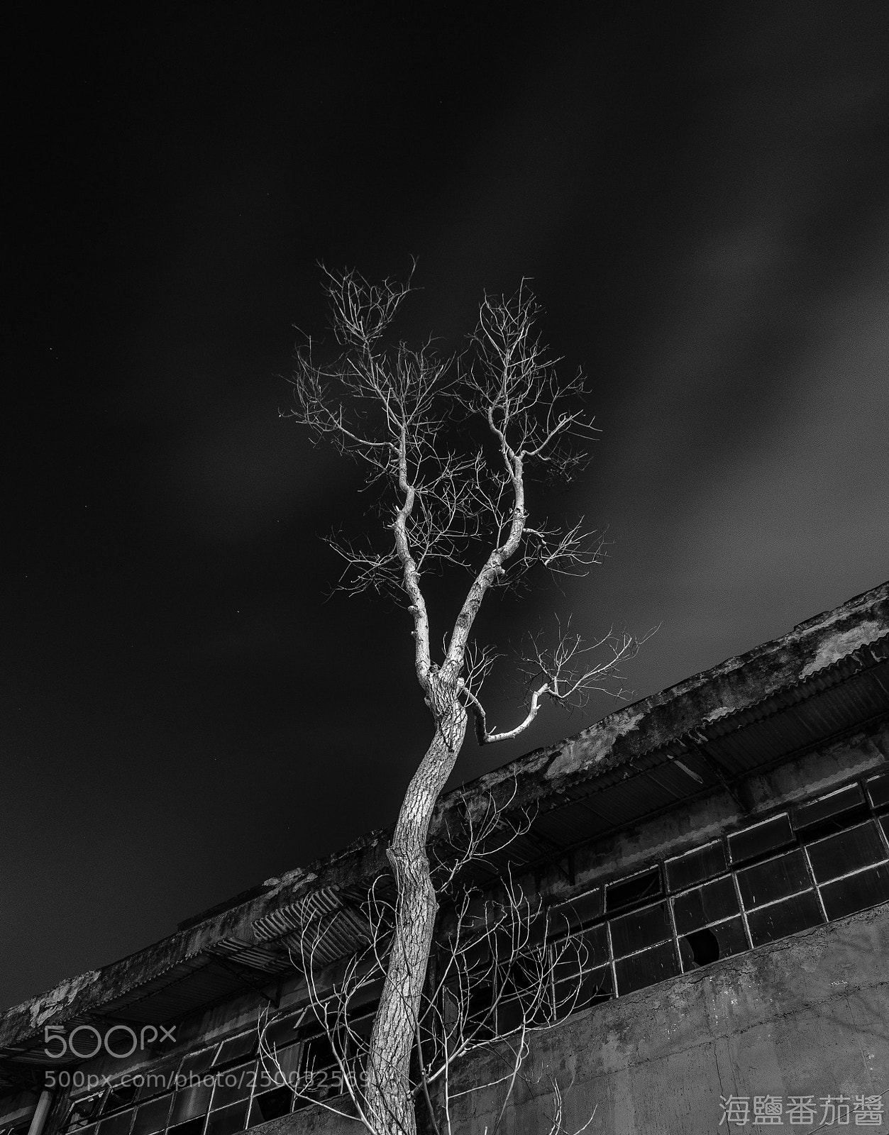 Nikon D5100 sample photo. Night photography