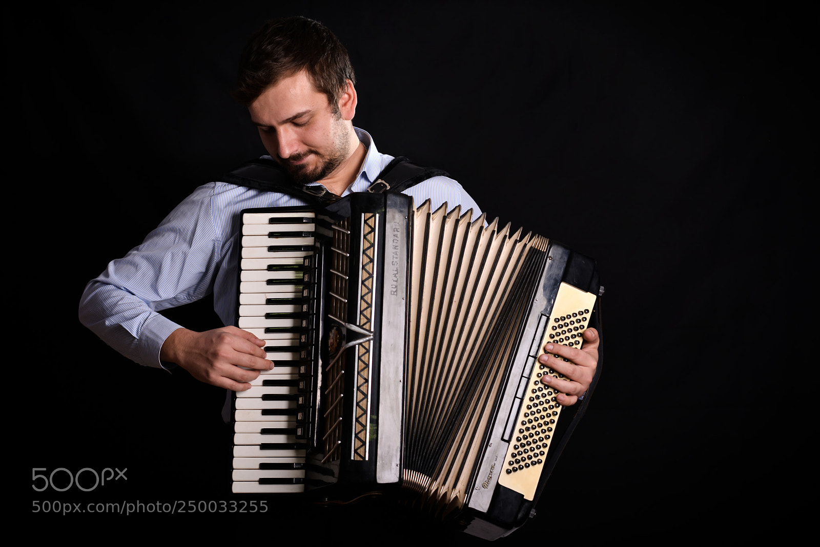 Nikon D800 sample photo. The musician playing the photography