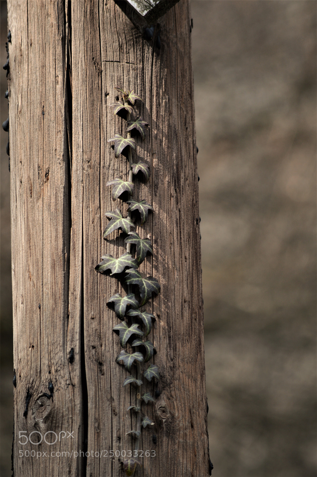 Nikon D3200 sample photo. Untitled photography