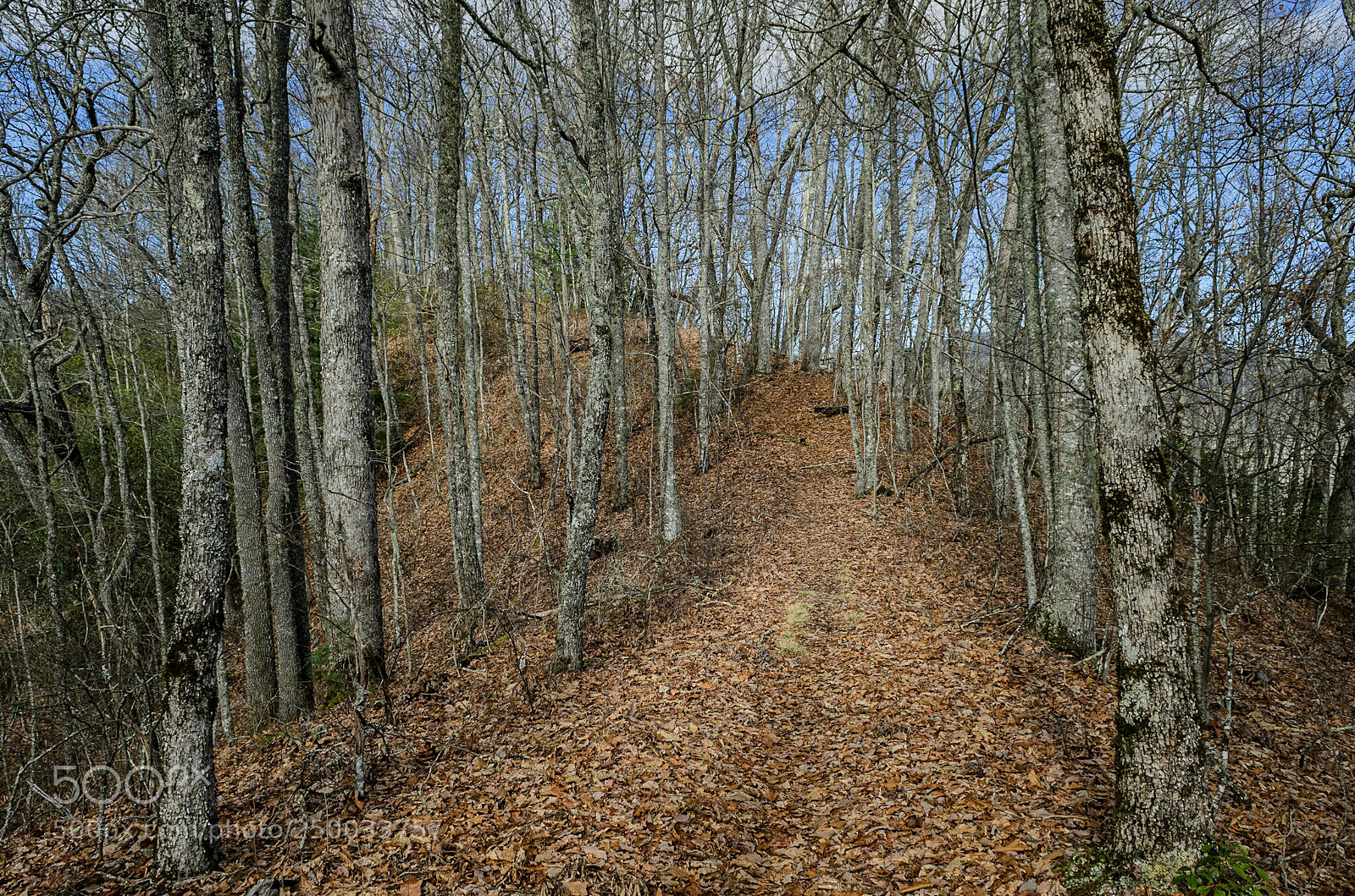 Nikon D7000 sample photo. Where the bitter winds photography