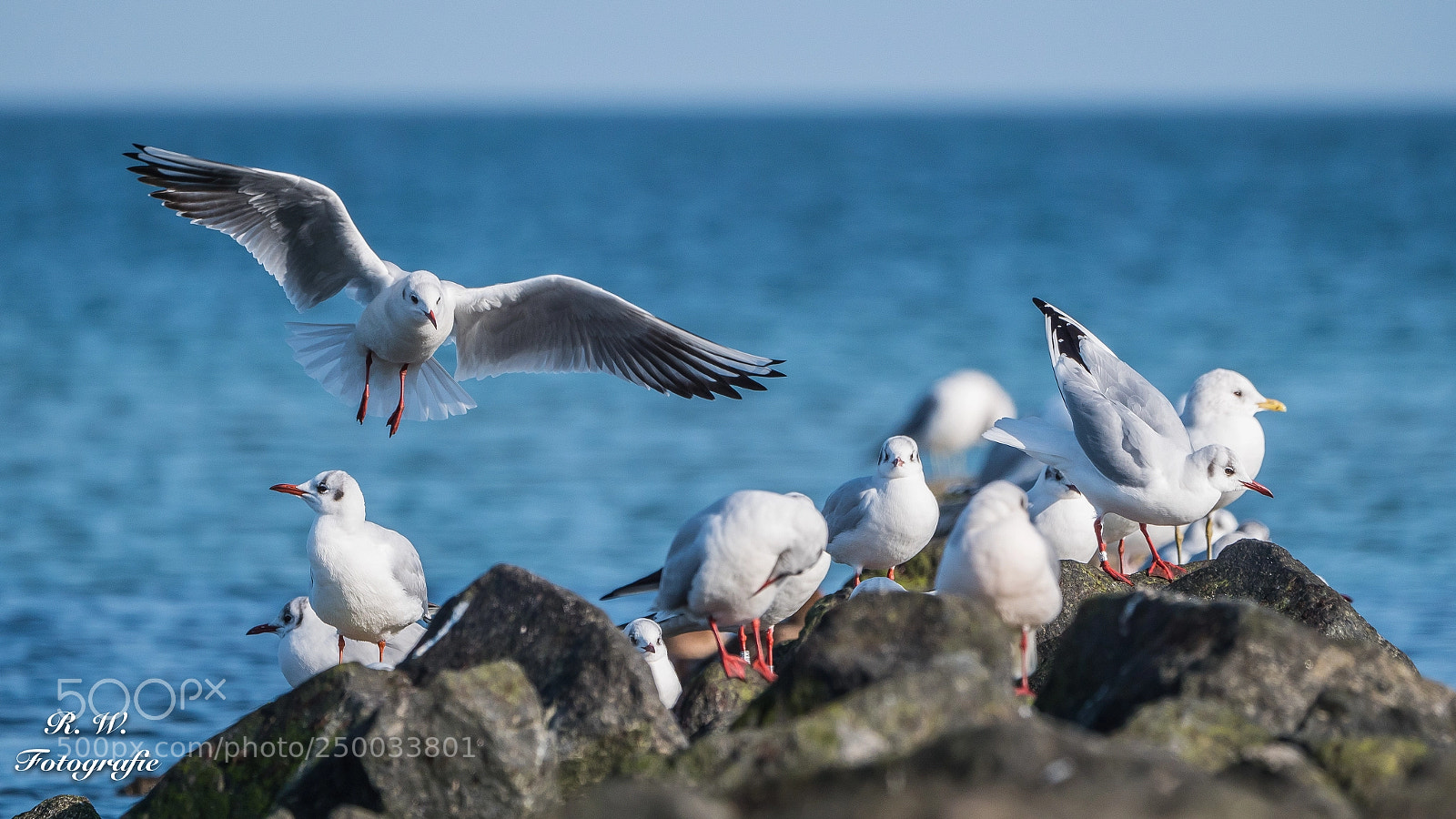 Panasonic Lumix DC-G9 sample photo. Anflug photography