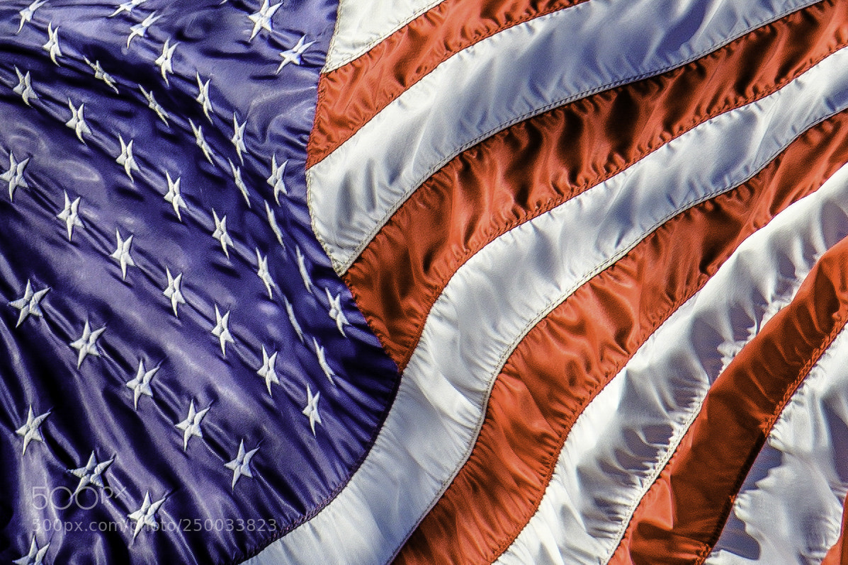 Nikon D500 sample photo. And the flag was photography