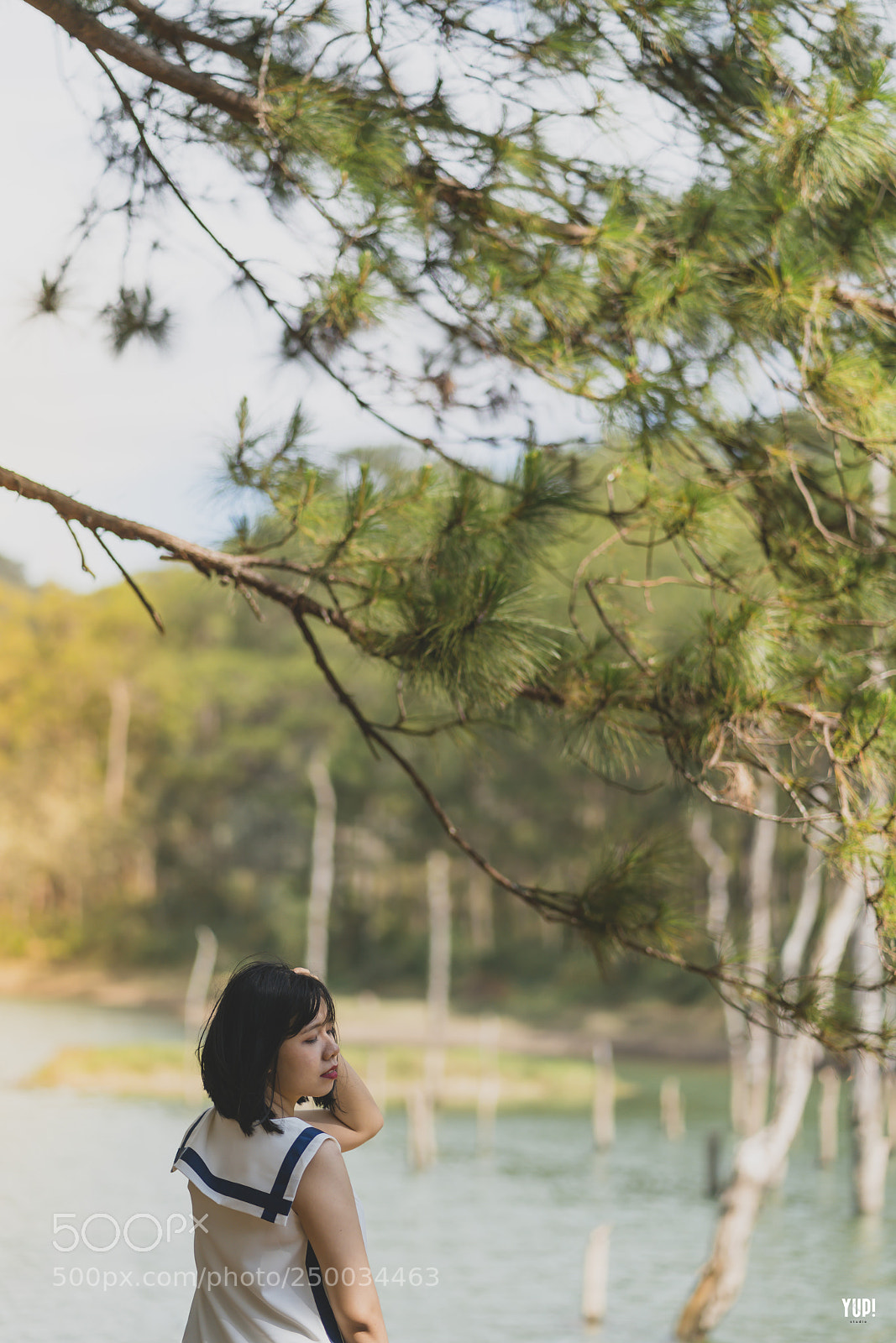 Sony a7R II sample photo. Yup photography