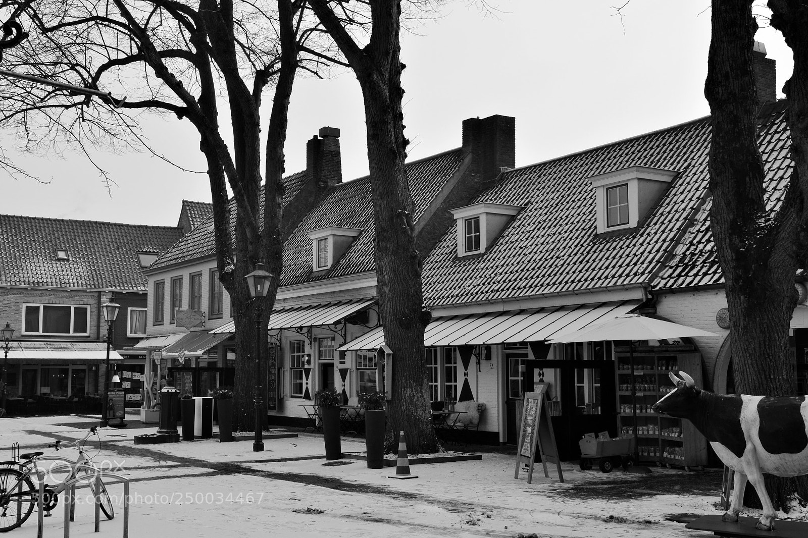 Nikon D5300 sample photo. Winter in sluis (netherlands) photography