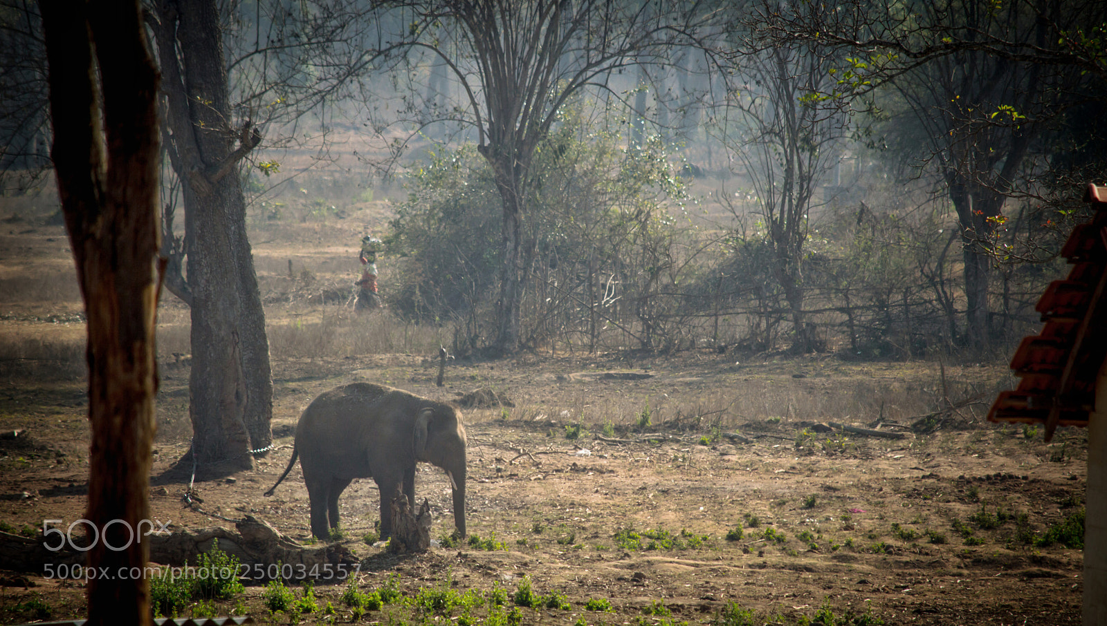 Nikon D3200 sample photo. Landscape photography