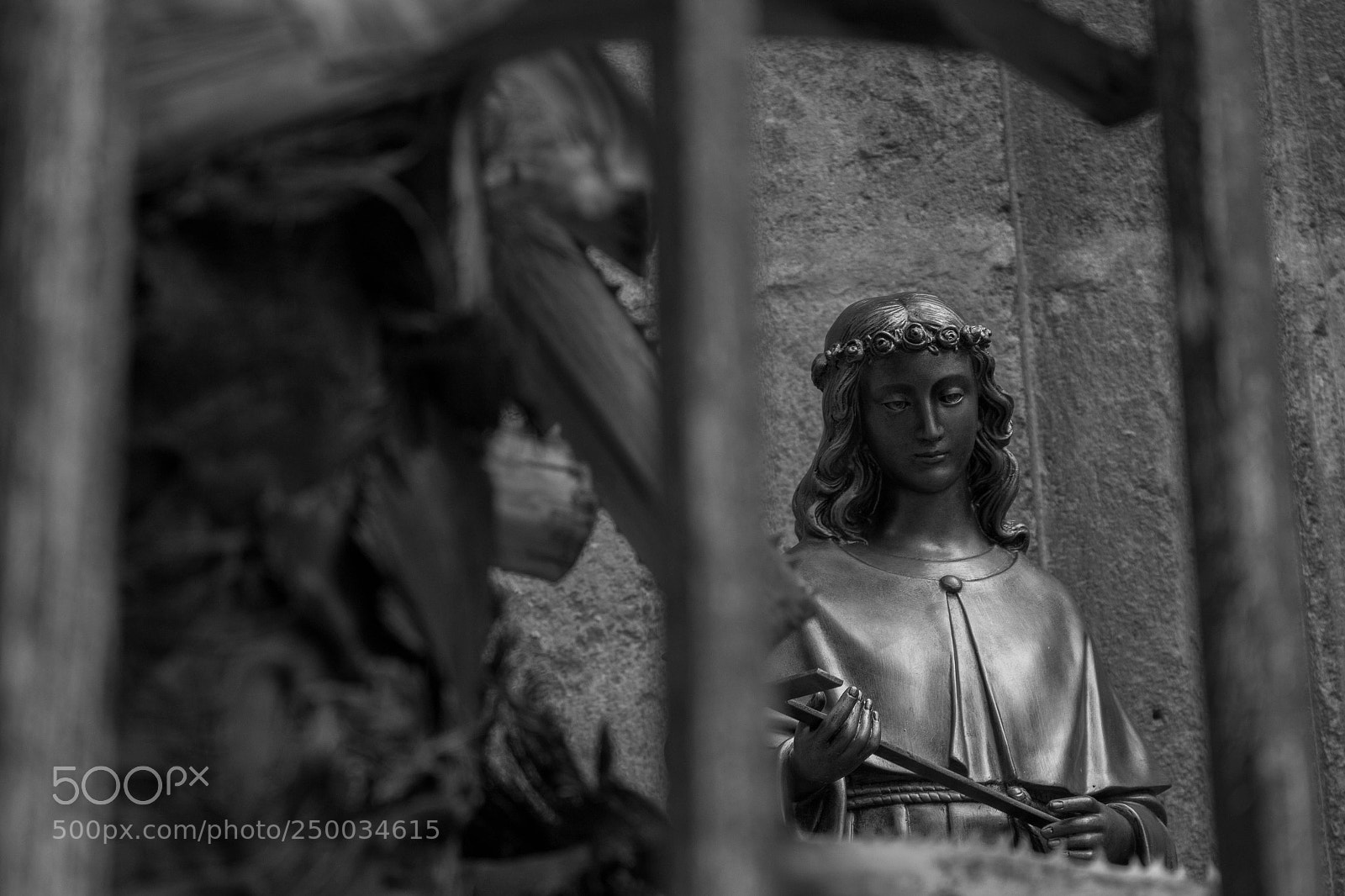 Canon EOS 100D (EOS Rebel SL1 / EOS Kiss X7) sample photo. Statua della madonna photography
