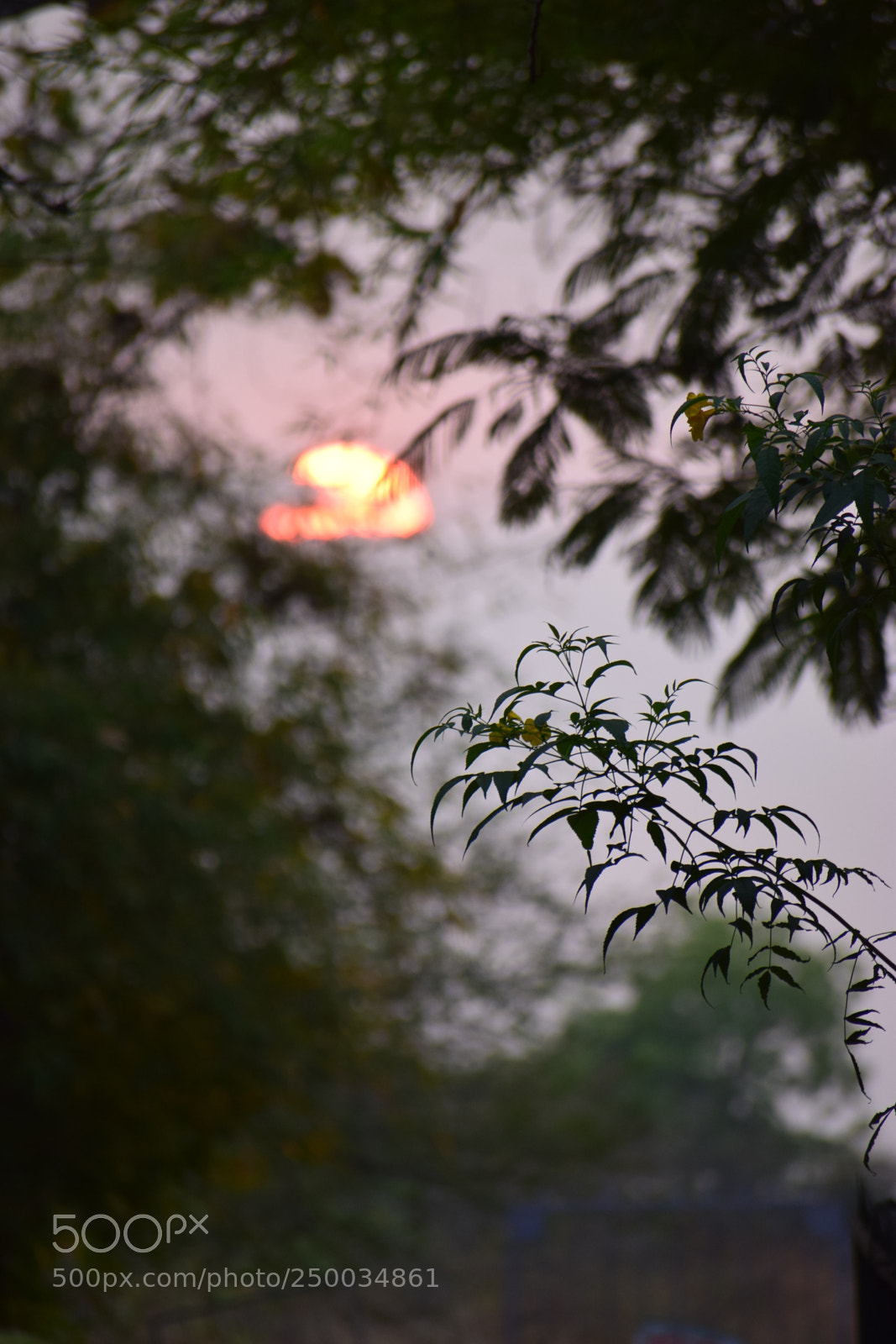 Nikon D5300 sample photo. Untitled photography