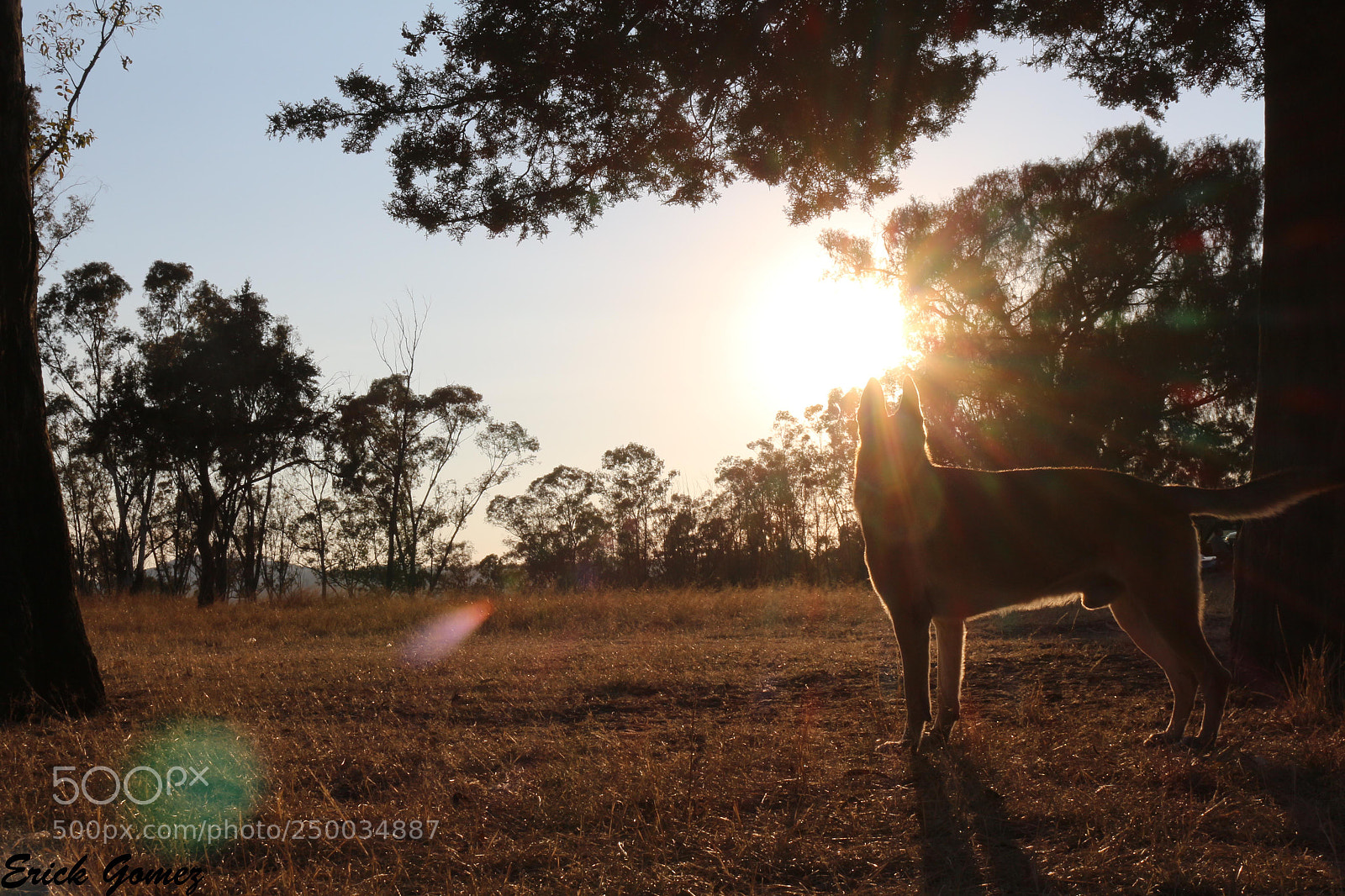 Canon EOS 700D (EOS Rebel T5i / EOS Kiss X7i) sample photo. Img photography
