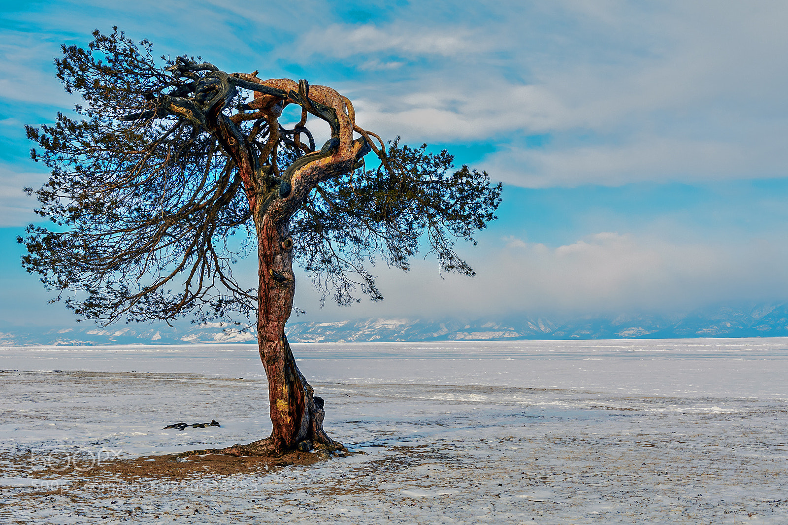 Nikon D7100 sample photo. Берег Ольхона. photography