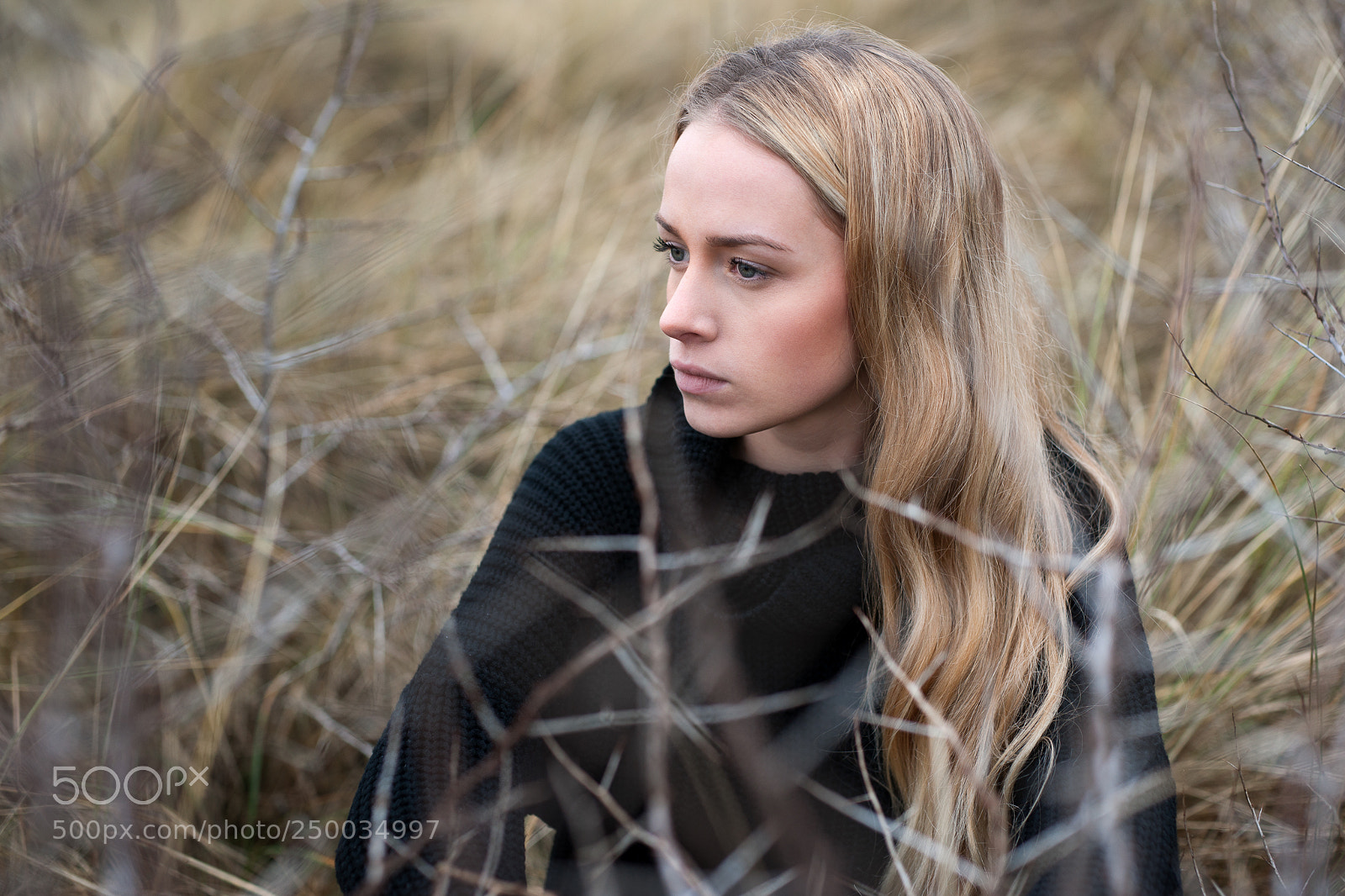 Sony Alpha DSLR-A900 sample photo. Im unterholz photography
