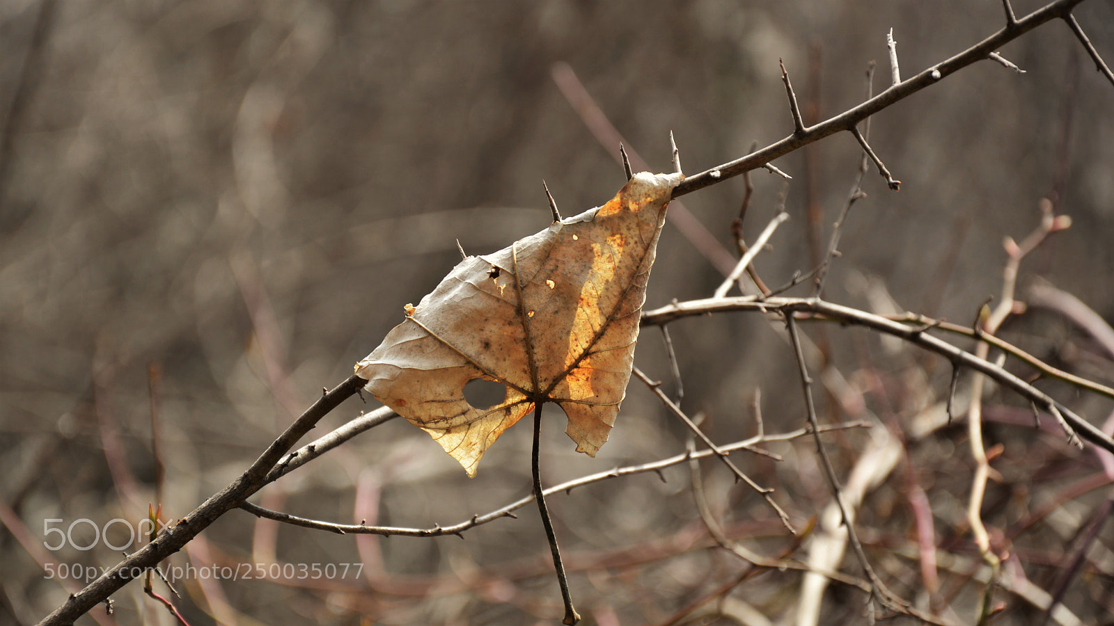 Nikon D3200 sample photo. Untitled photography