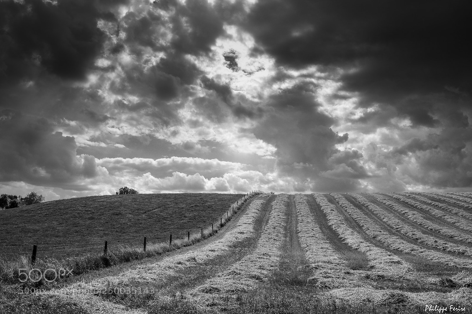 Nikon D3200 sample photo. Moisson de nuages photography