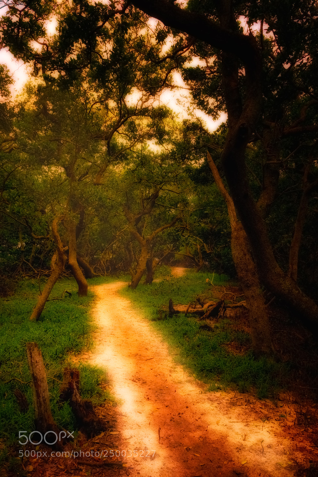Sony a7 sample photo. Refuge. - psalm 91:1 photography