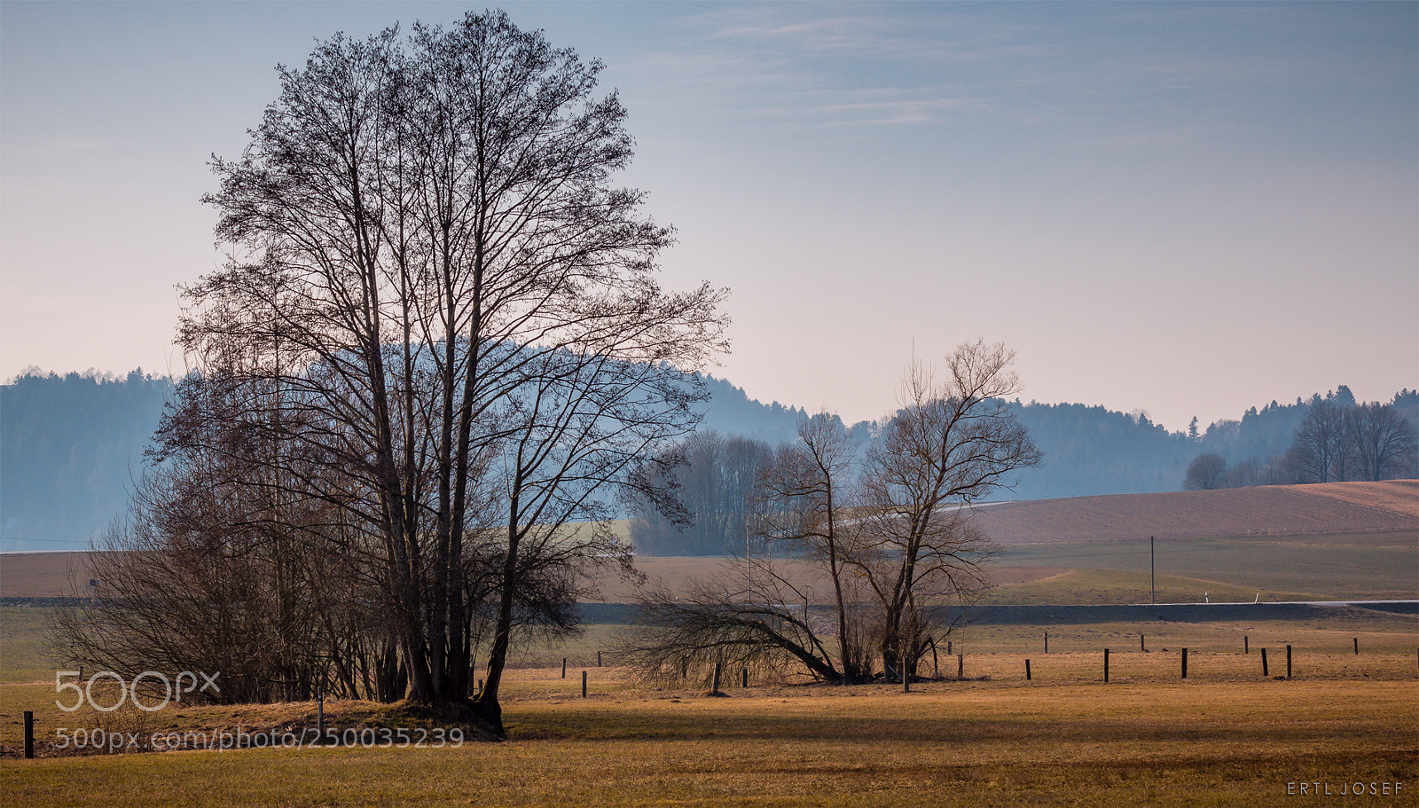 Canon EOS 70D sample photo. Auerbach / ndb. photography