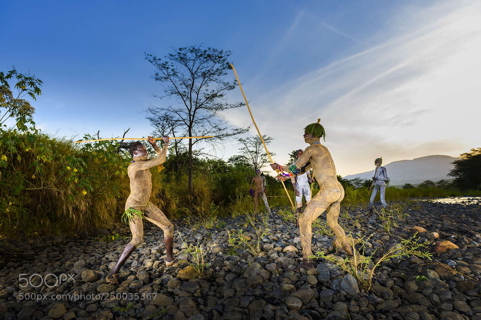 Nikon D800 sample photo. Attack photography