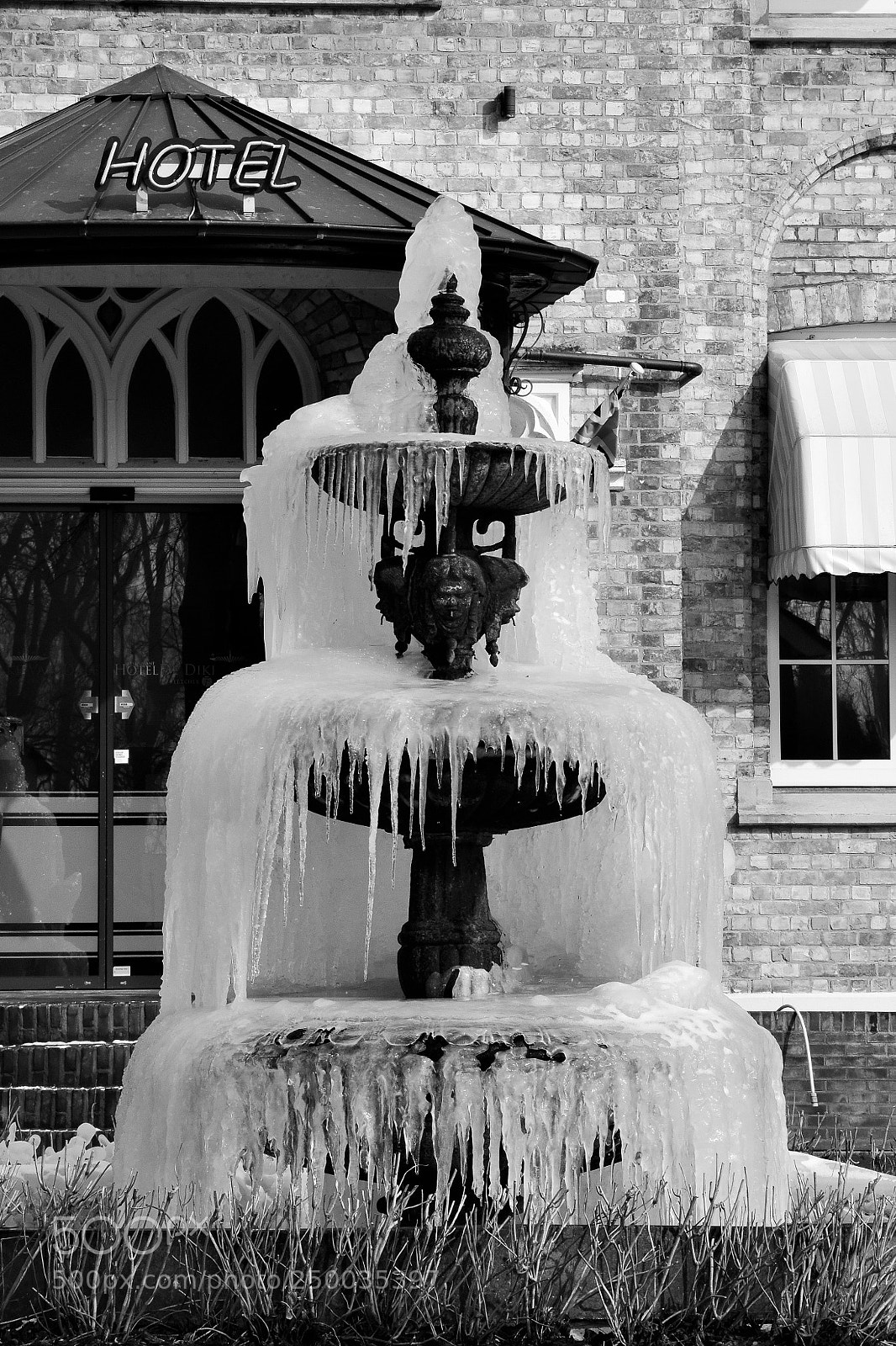 Nikon D5300 sample photo. Frozen photography